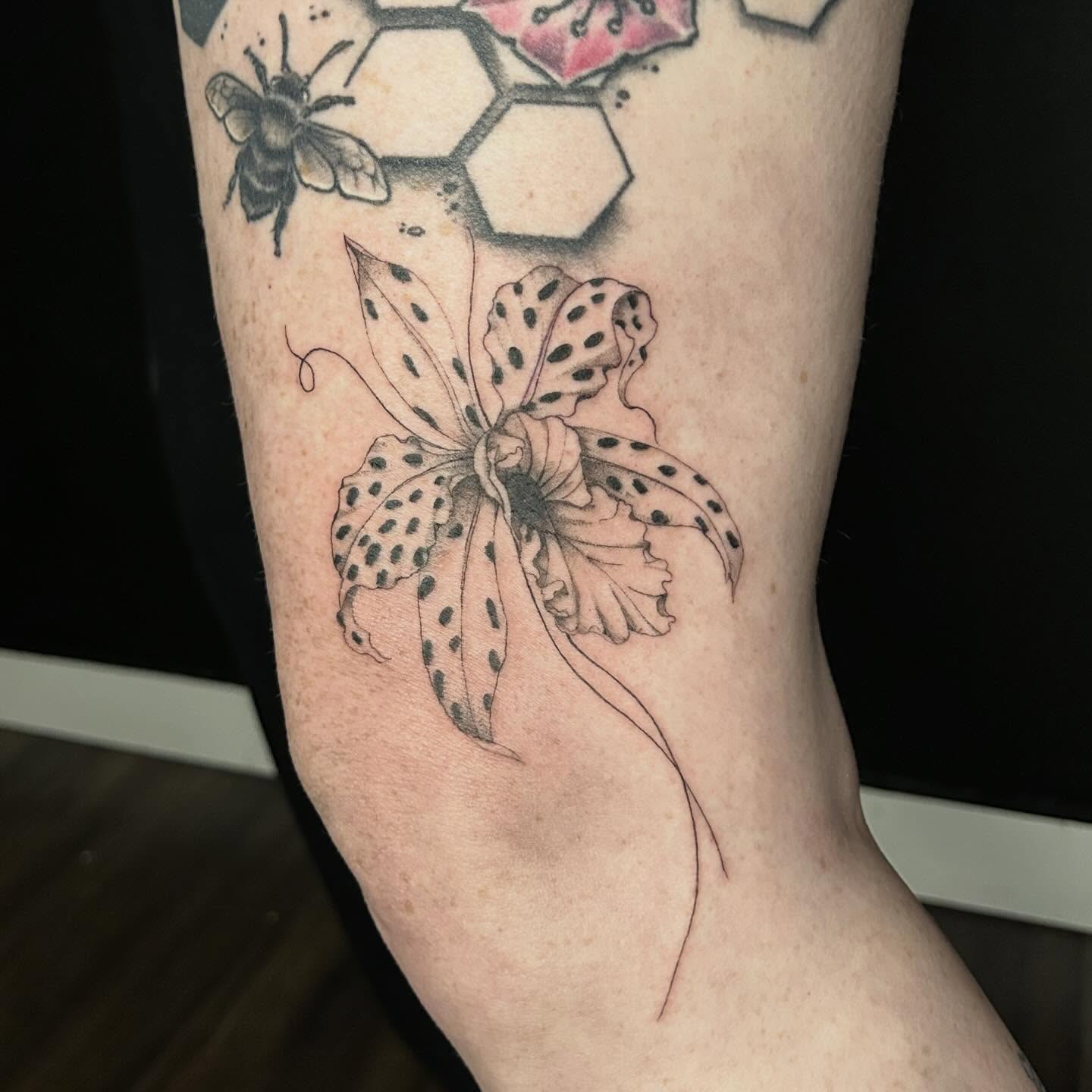 Spotted orchid dotwork tattoo on the forearm by Elizabeth (Lib), Murfreesboro, Tennessee