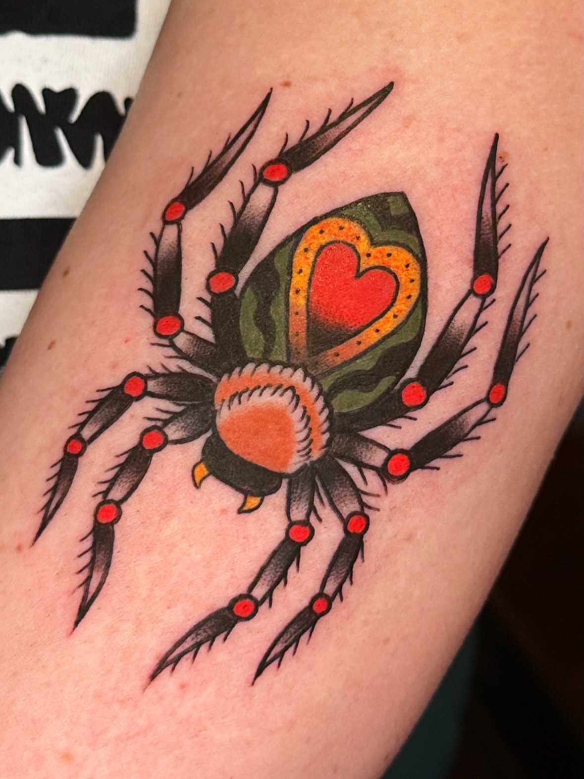 Spider American traditional tattoo on the forearm by 𝔪𝔞𝔩𝔢𝔯𝔦𝔢 𝔫𝔢𝔳𝔢𝔯𝔪𝔬𝔯𝔢 🐦‍⬛ 𝔫𝔢𝔴 𝔧𝔢𝔯𝔰𝔢𝔶 𝔱𝔞𝔱𝔱𝔬𝔬