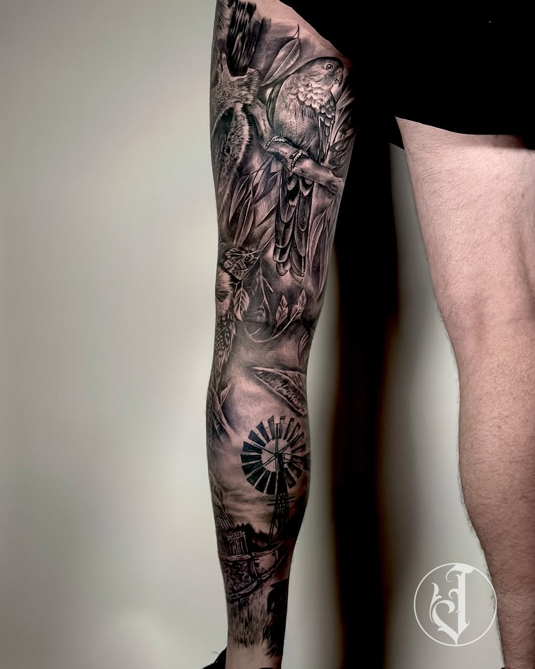 Australian wildlife and landscape surrealism tattoo on the forearm by Tattoos By Josh