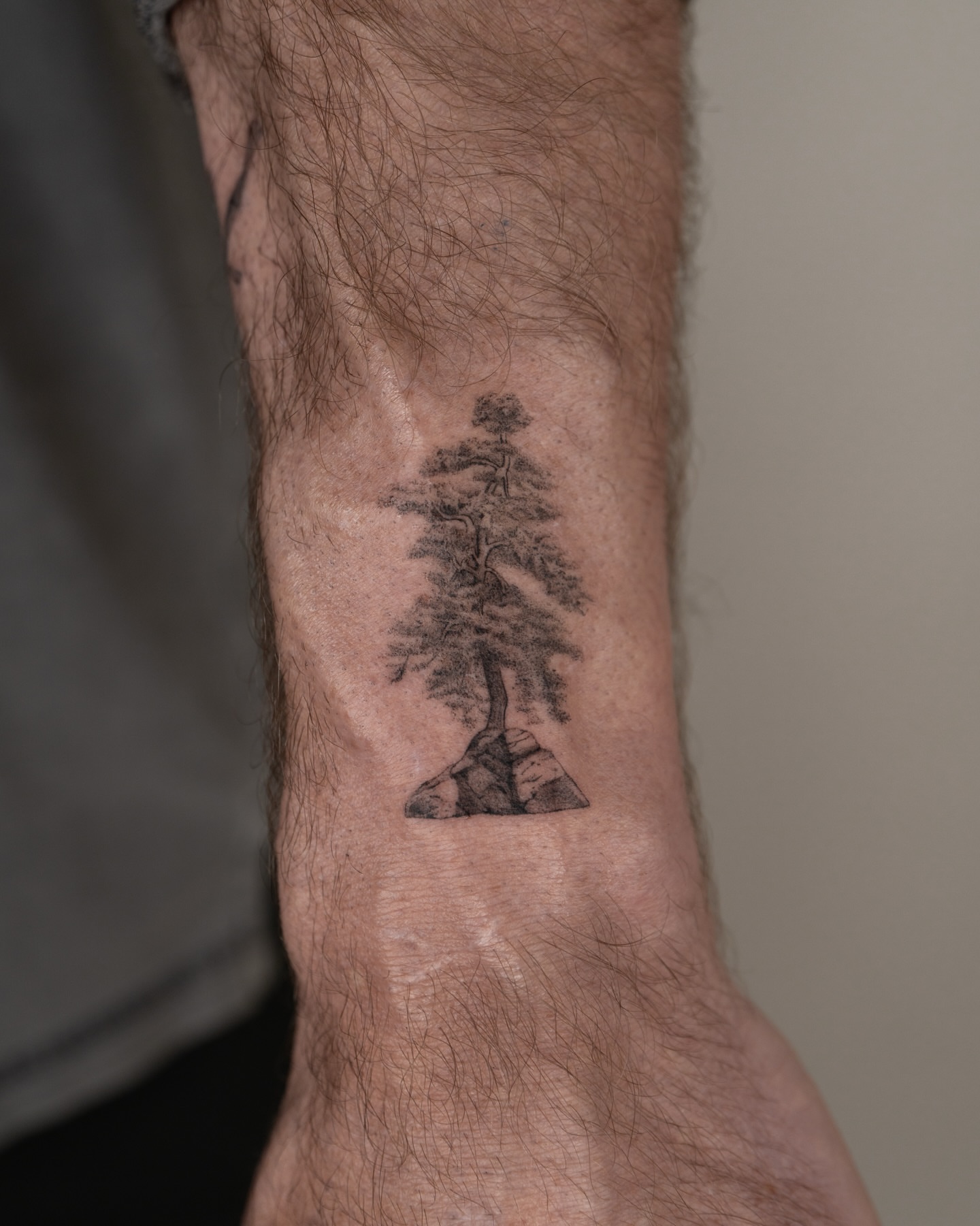 Pine tree black and grey tattoo on the forearm by t y, t a t t o o a r t i s t