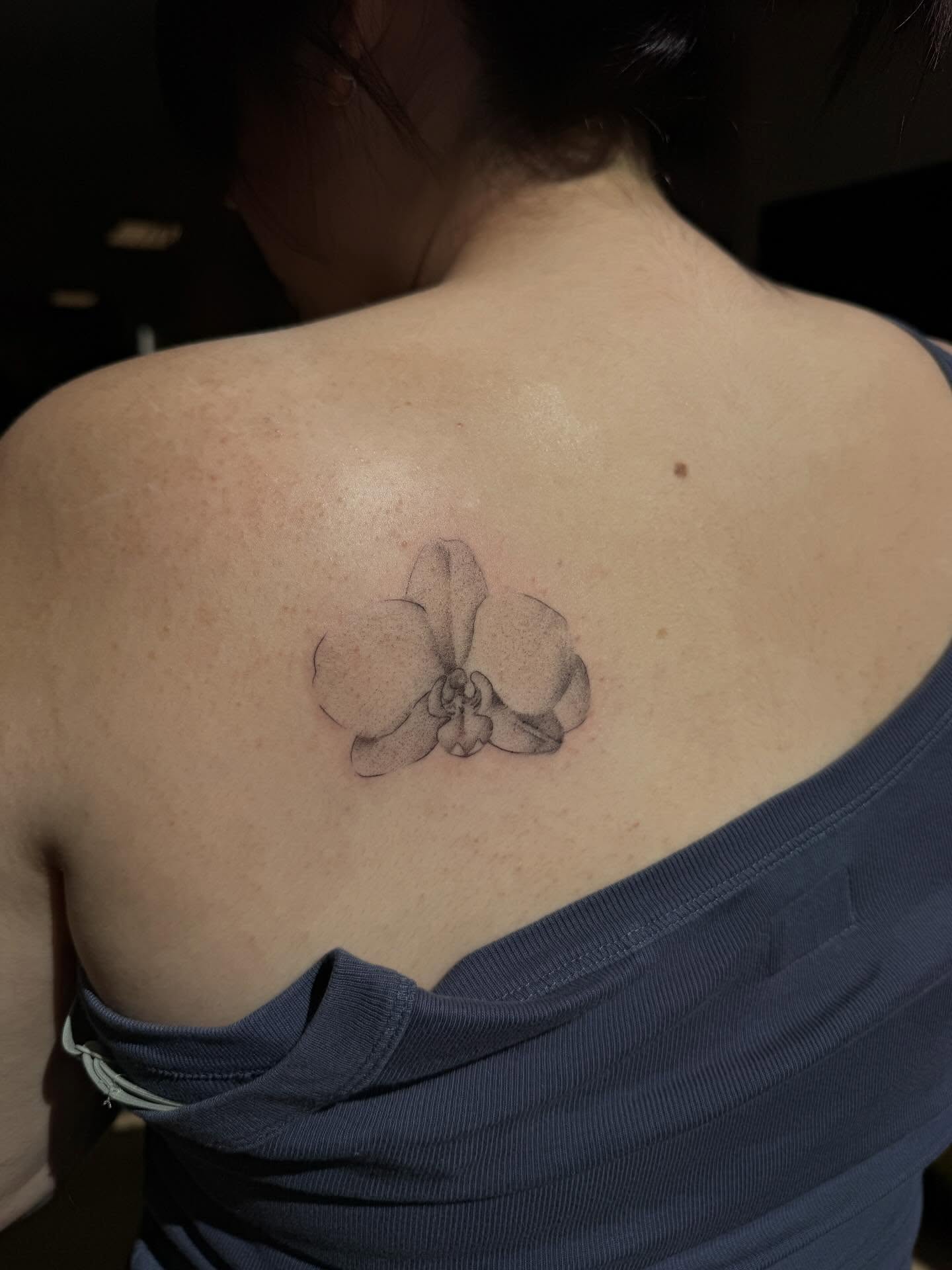 Orchid black and grey tattoo on the back by Rachel ˚⊱🪷⊰˚ 芷若, Des Moines, Iowa