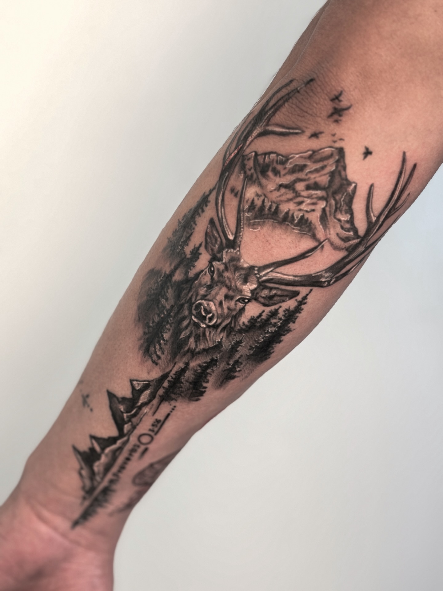 Stag in forest realism tattoo on the forearm by Tatuajes Denver