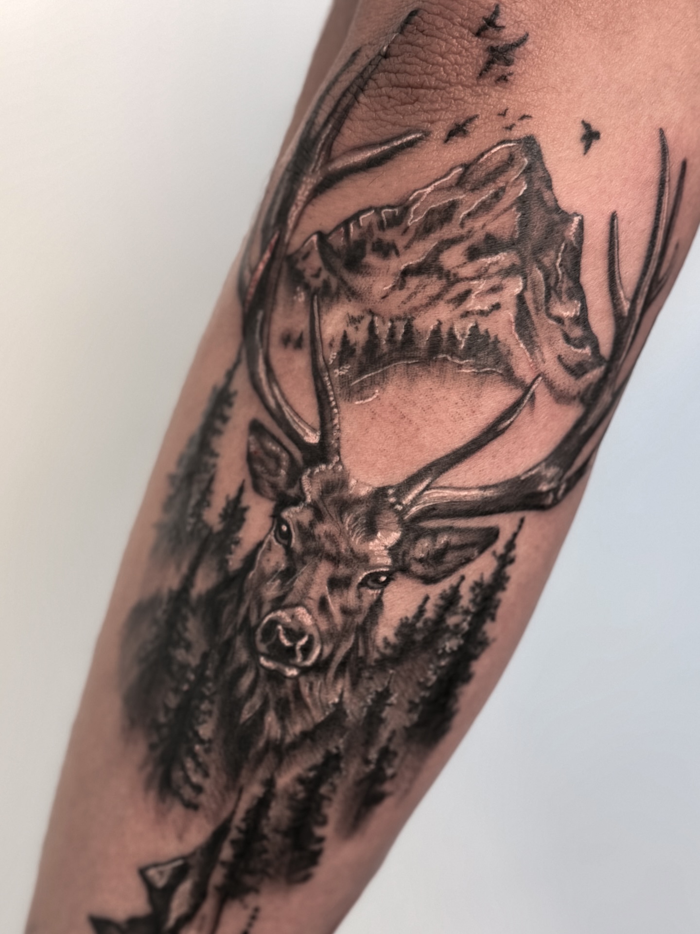 Deer realism tattoo on the forearm by Tatuajes Denver