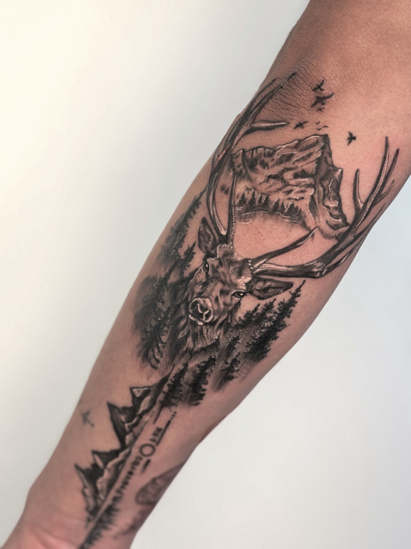 Stag and mountain realism tattoo on the forearm by Tatuajes Denver