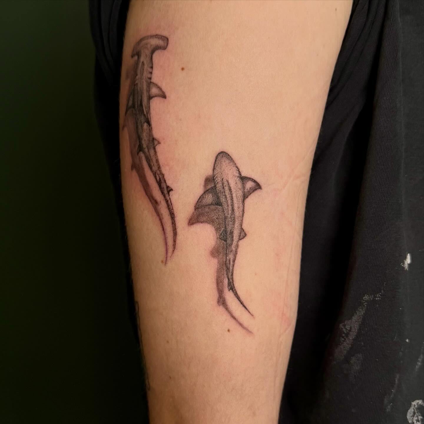 Shark black and grey tattoo on the forearm by Bailee