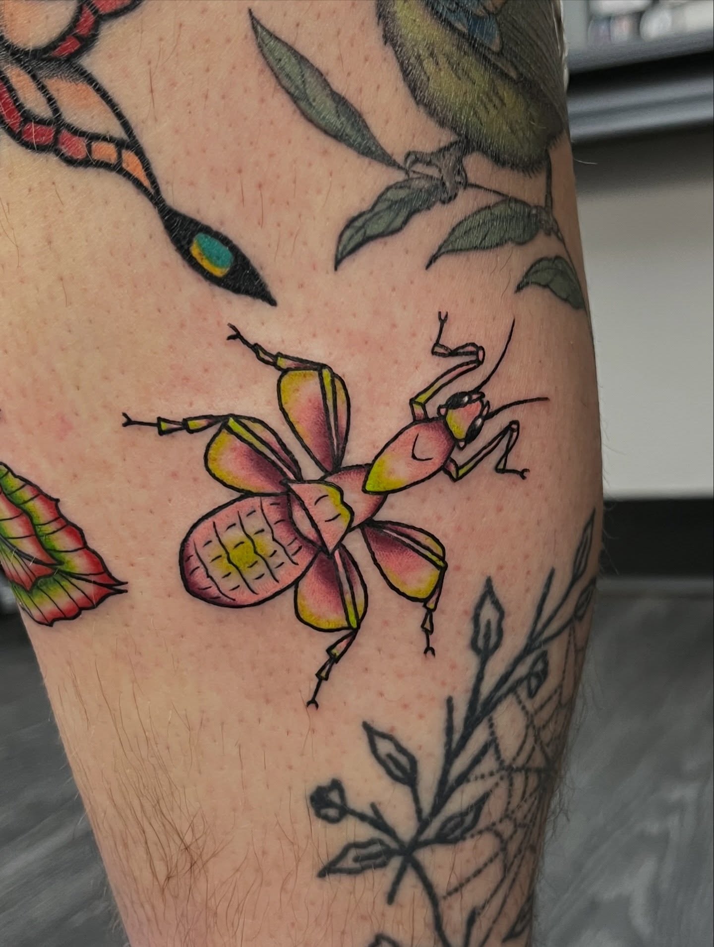 Tattoo by @morganeden.tattoos — american_traditional