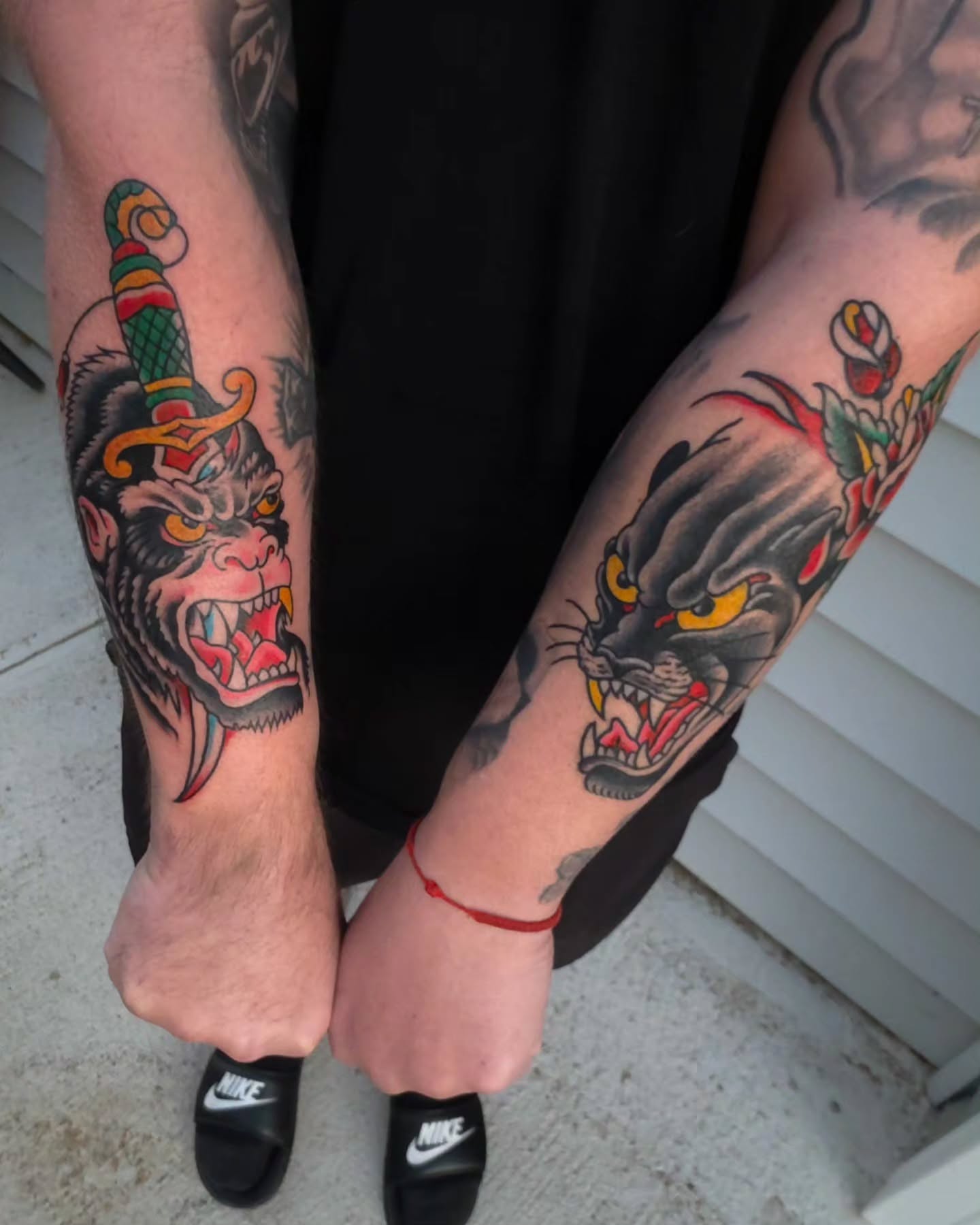 Angry cat and dagger American traditional tattoo on the forearm by J. Kirsch New Jersey Tattoo Artist