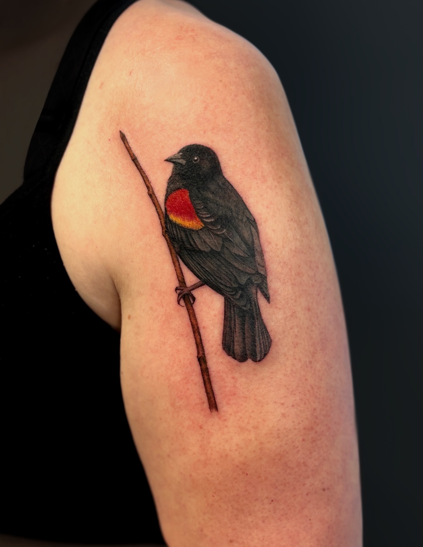 Tattoo by @mckinley.tattoos — realism