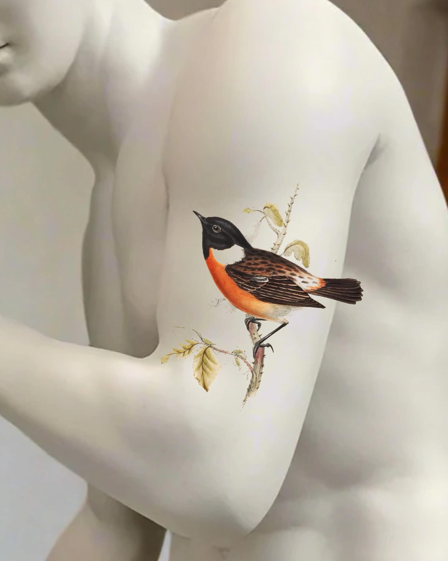 Tattoo by @lucy__yin — realism