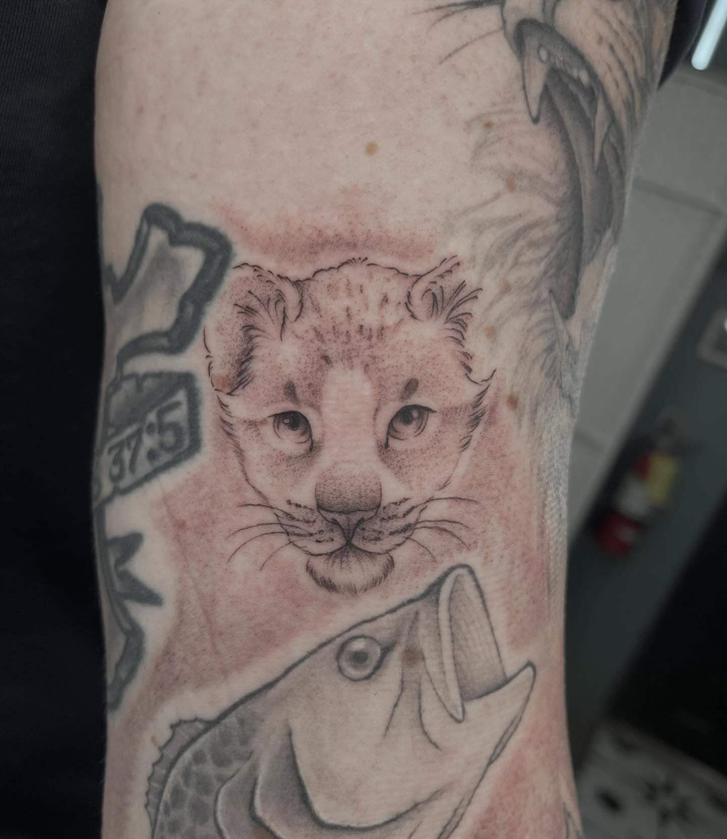 Lion cub and fish realism tattoo on the forearm by Allison Gallagher