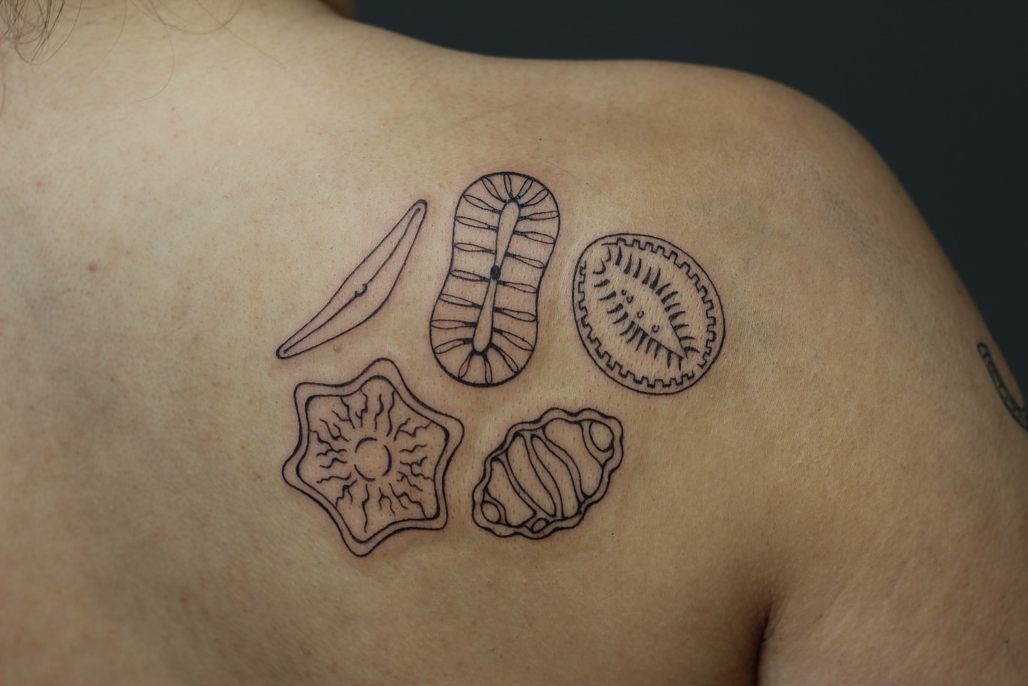 Tattoo by @amandaktattoos — geometric