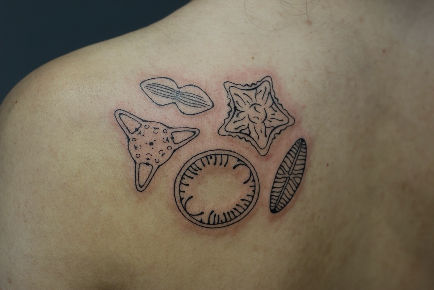 Tattoo by @amandaktattoos — geometric