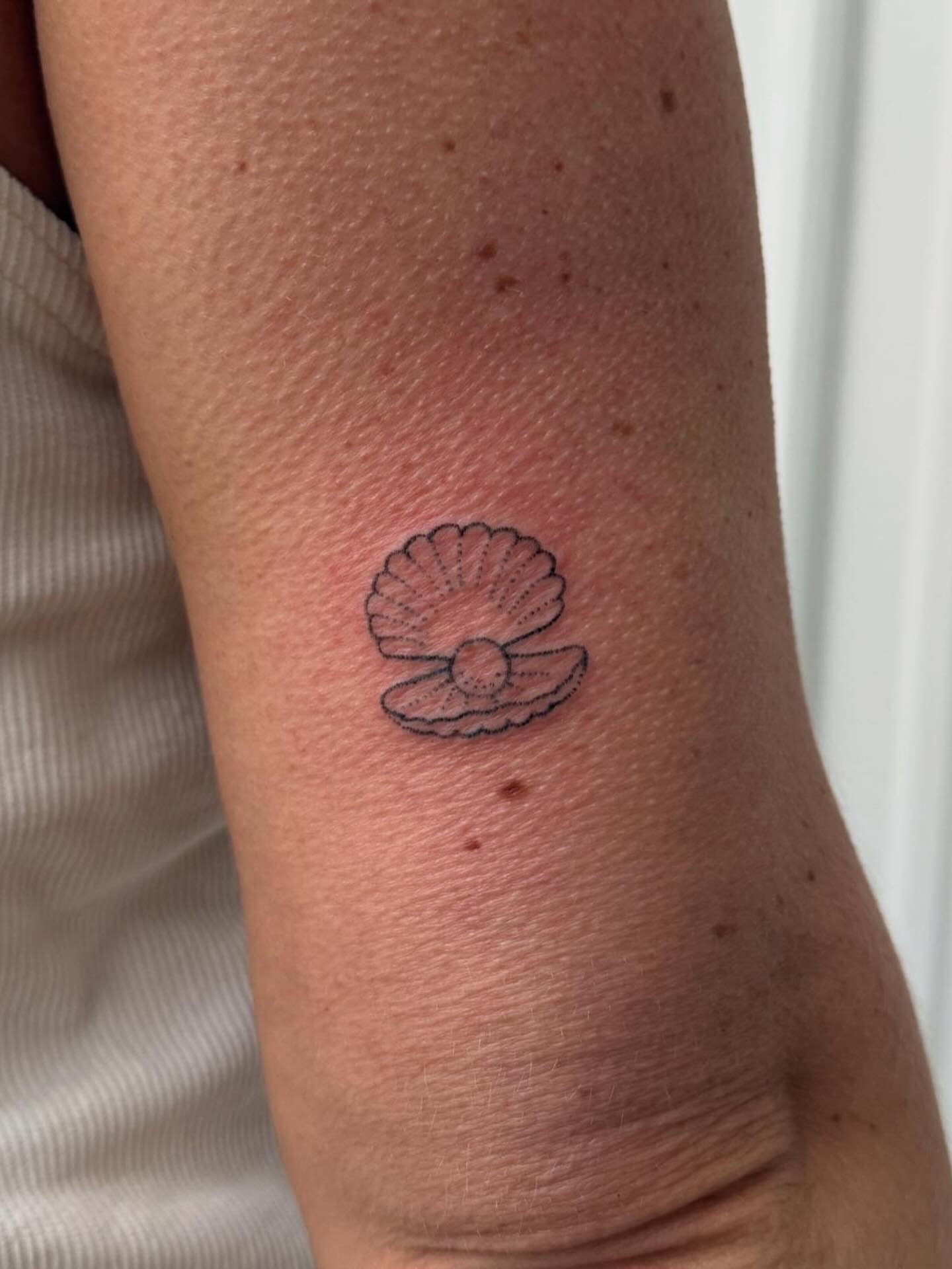 Scallop shell dotwork tattoo on the forearm by springgreens