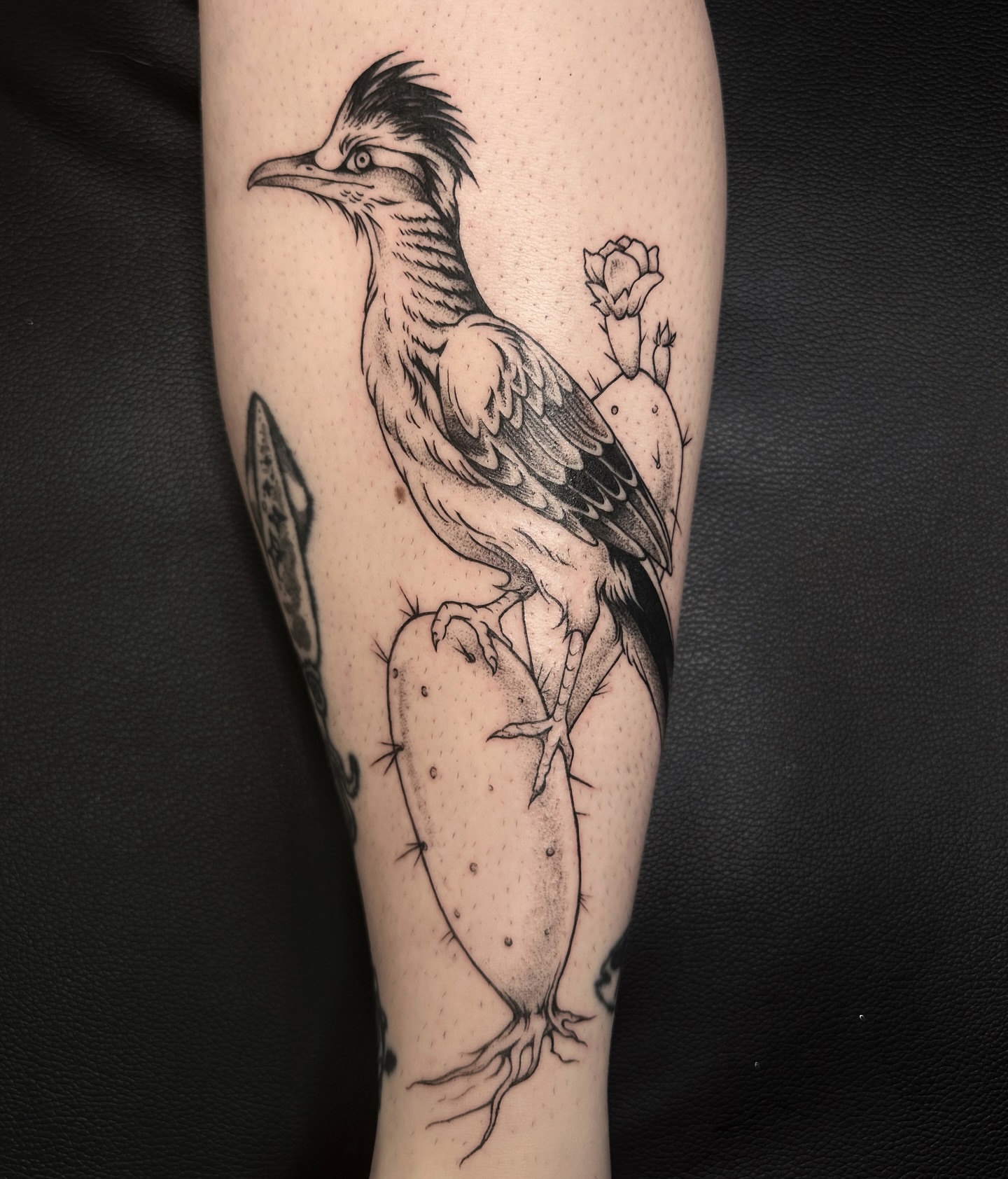 Roadrunner and cactus dotwork tattoo on the forearm by Micky, Austin, Texas
