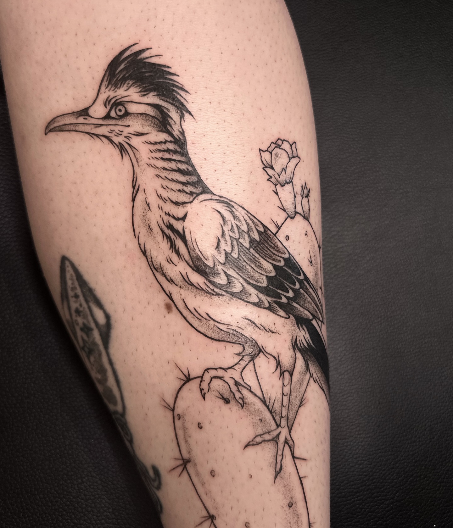Roadrunner black and grey tattoo on the forearm by Micky, Austin, Texas
