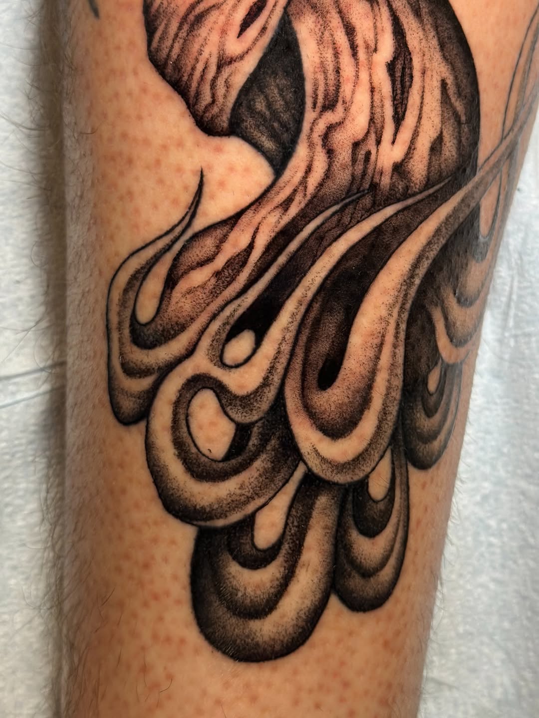Tattoo by Jared Sharp, Orlando, FL
