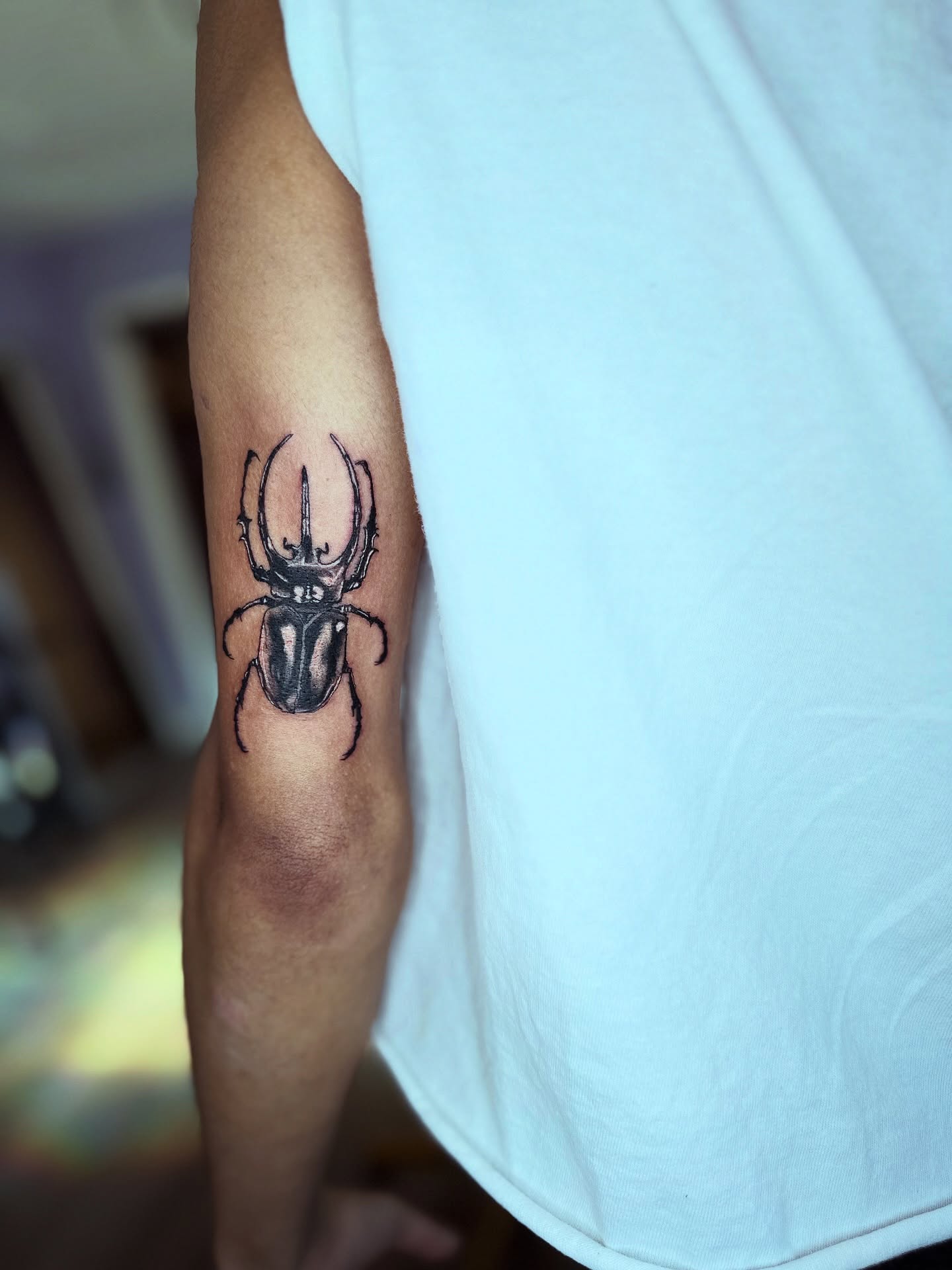 Rhinoceros beetle black and grey tattoo on the forearm by Honey