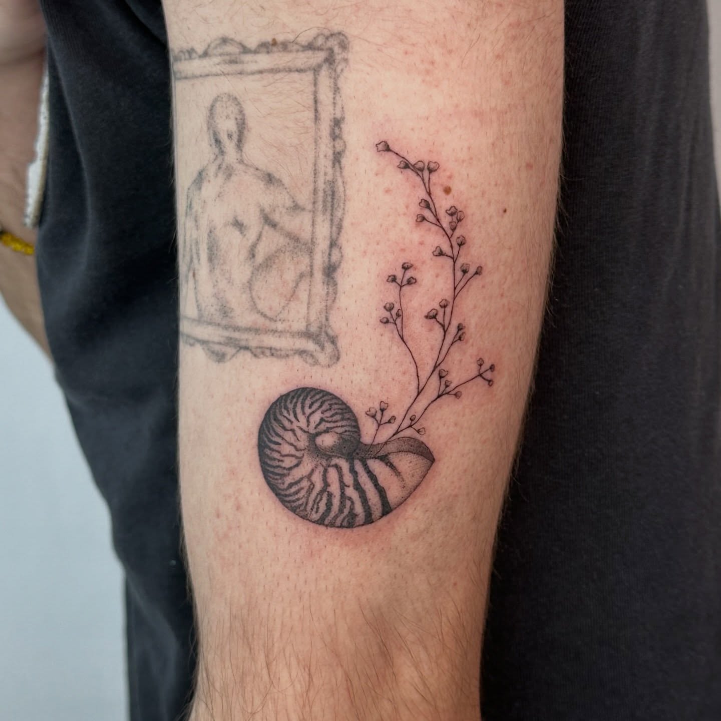 Nautilus shell and plant black and grey tattoo on the forearm by macie ❥ austin tattoo artist, Austin, Texas