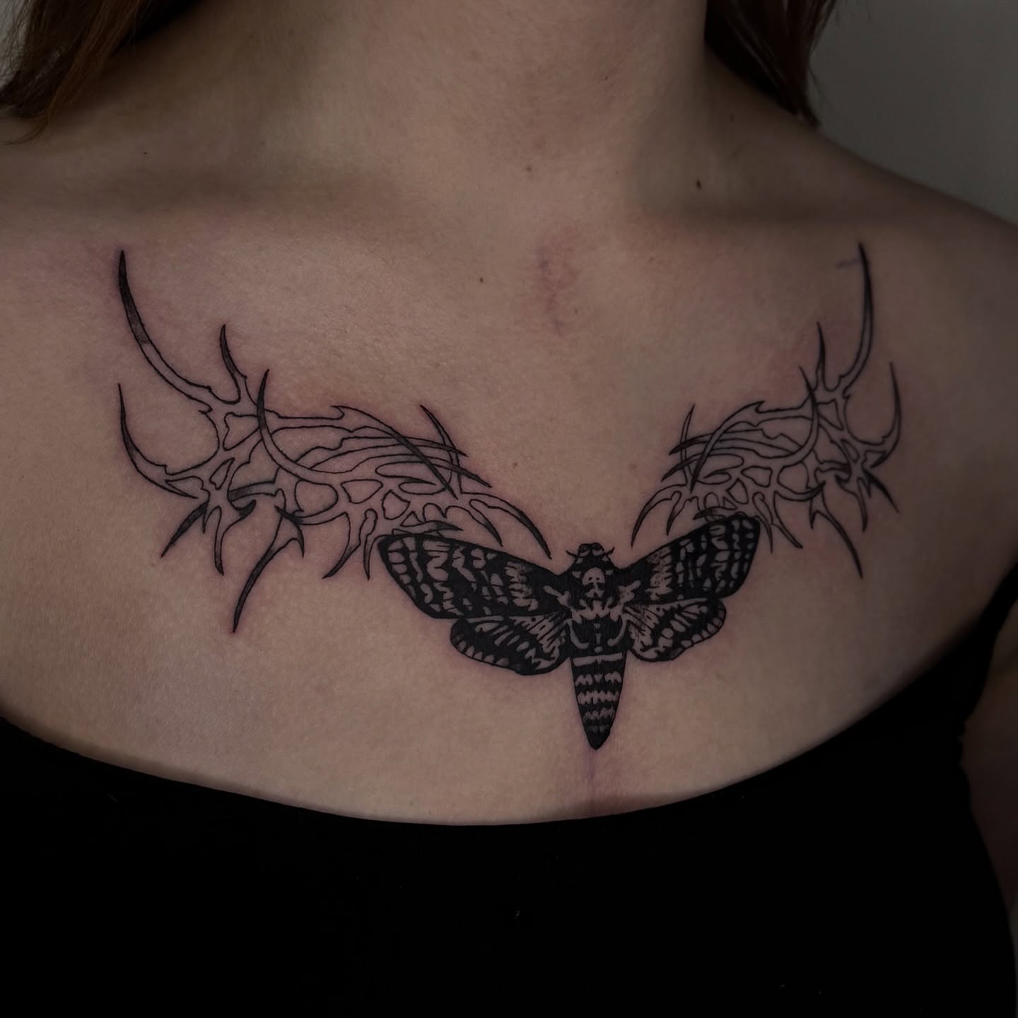 Moth with antlers black and grey tattoo on the chest by dev