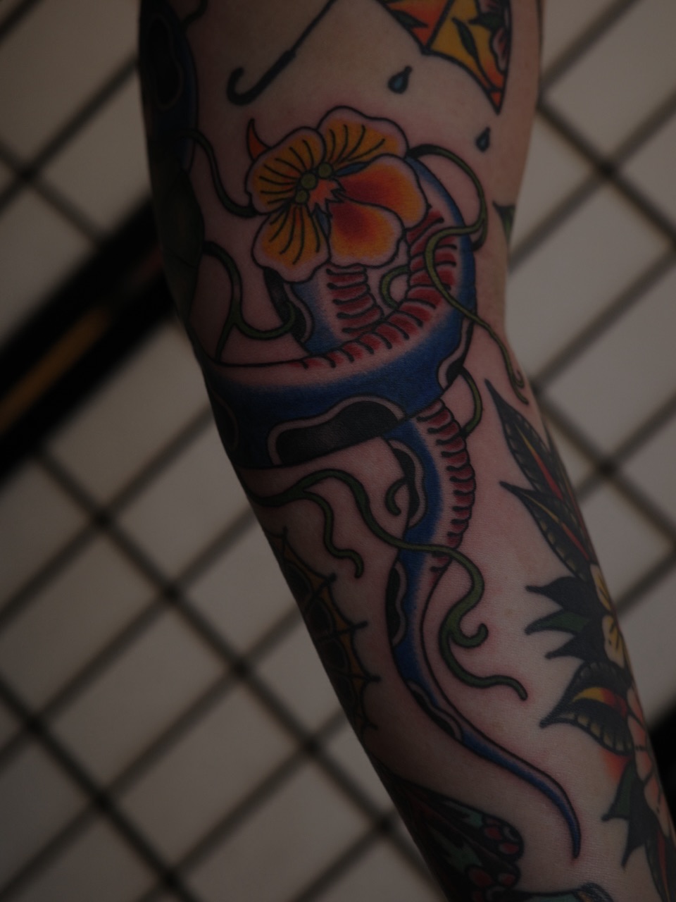 Flower and snake American traditional tattoo on the forearm by Sequoia Rose, Portland, Oregon