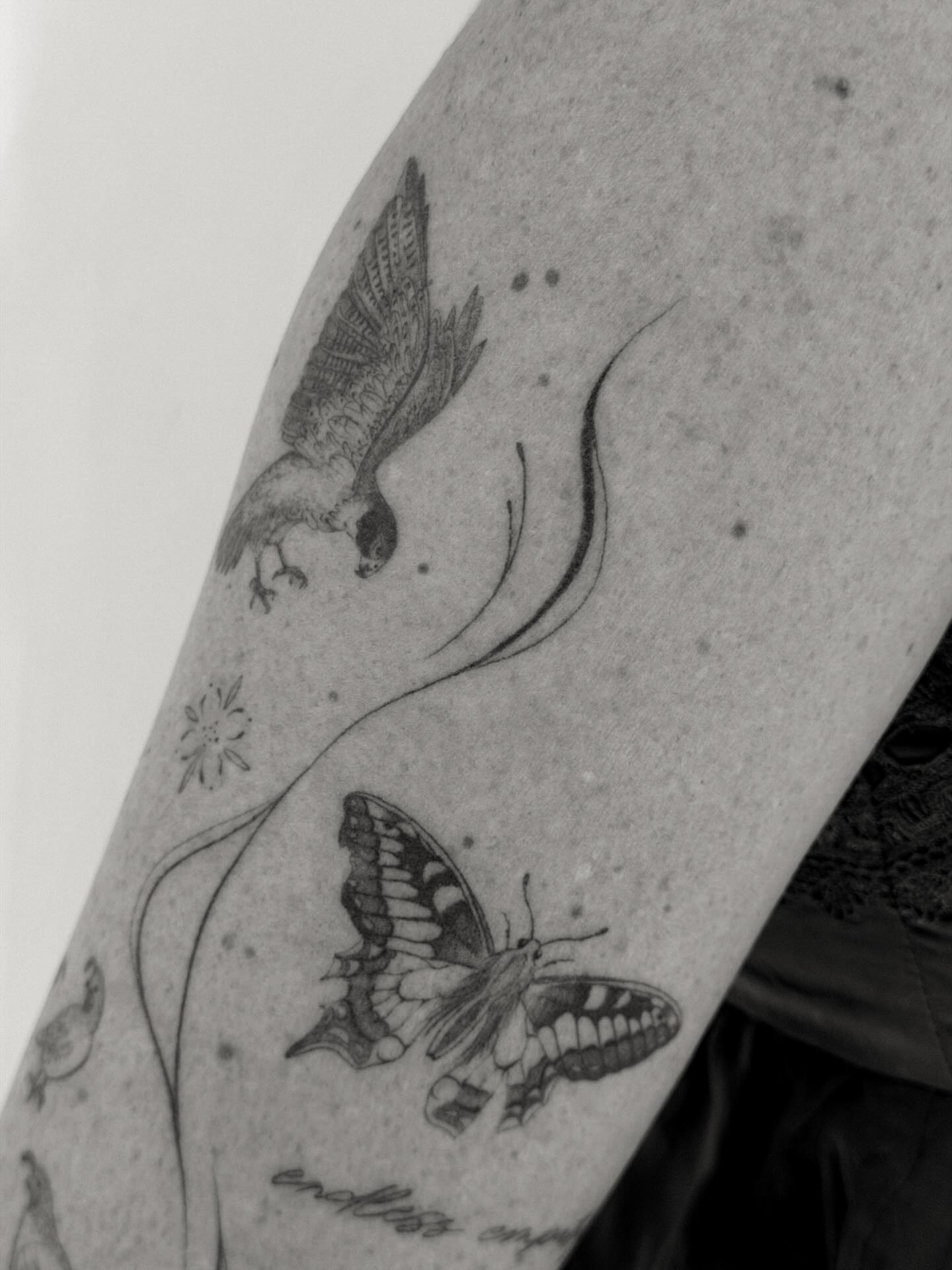Bird and butterfly realism tattoo on the forearm by Hannah Matthews