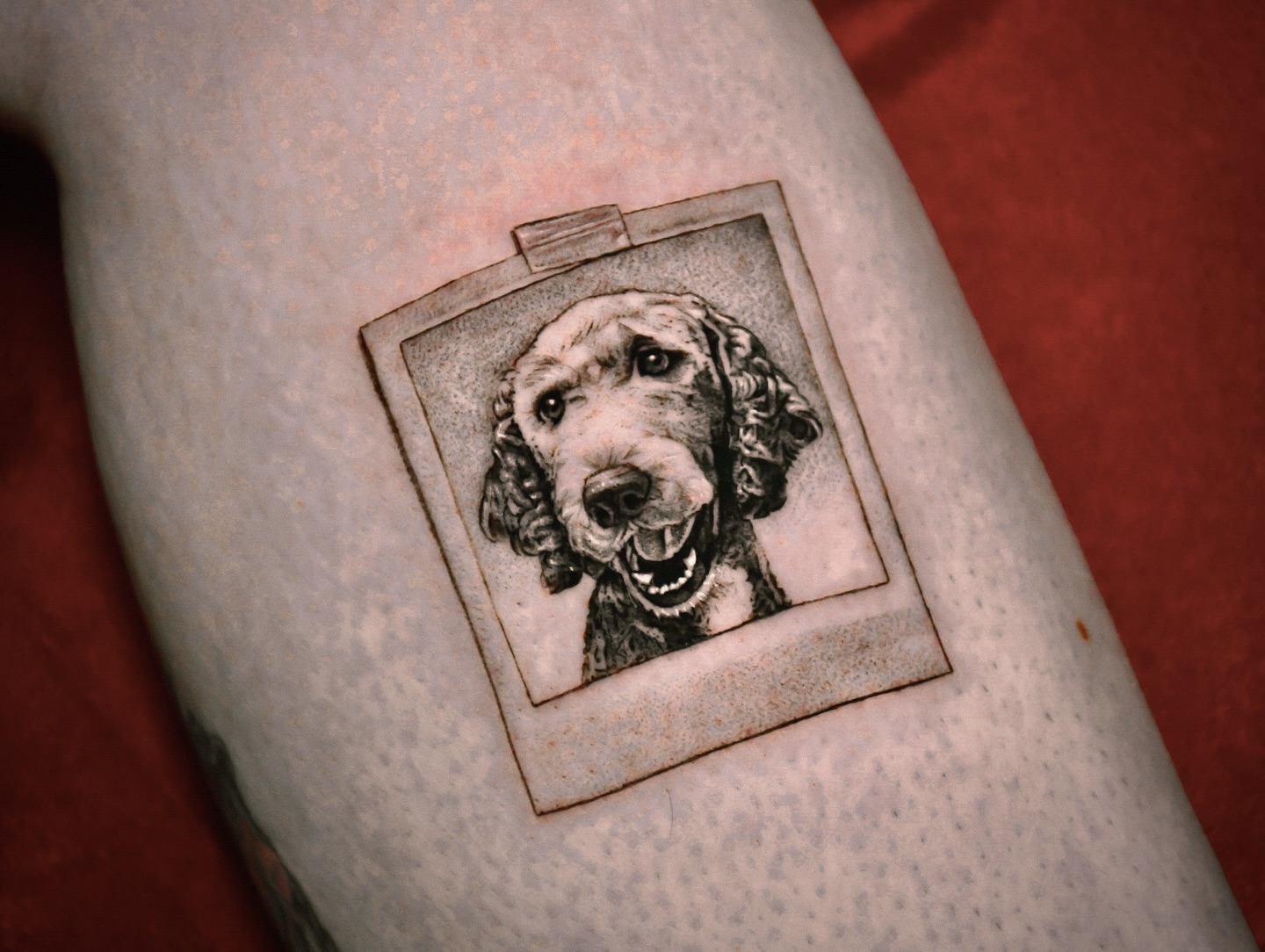 Tattoo by @jf.artistic — realism