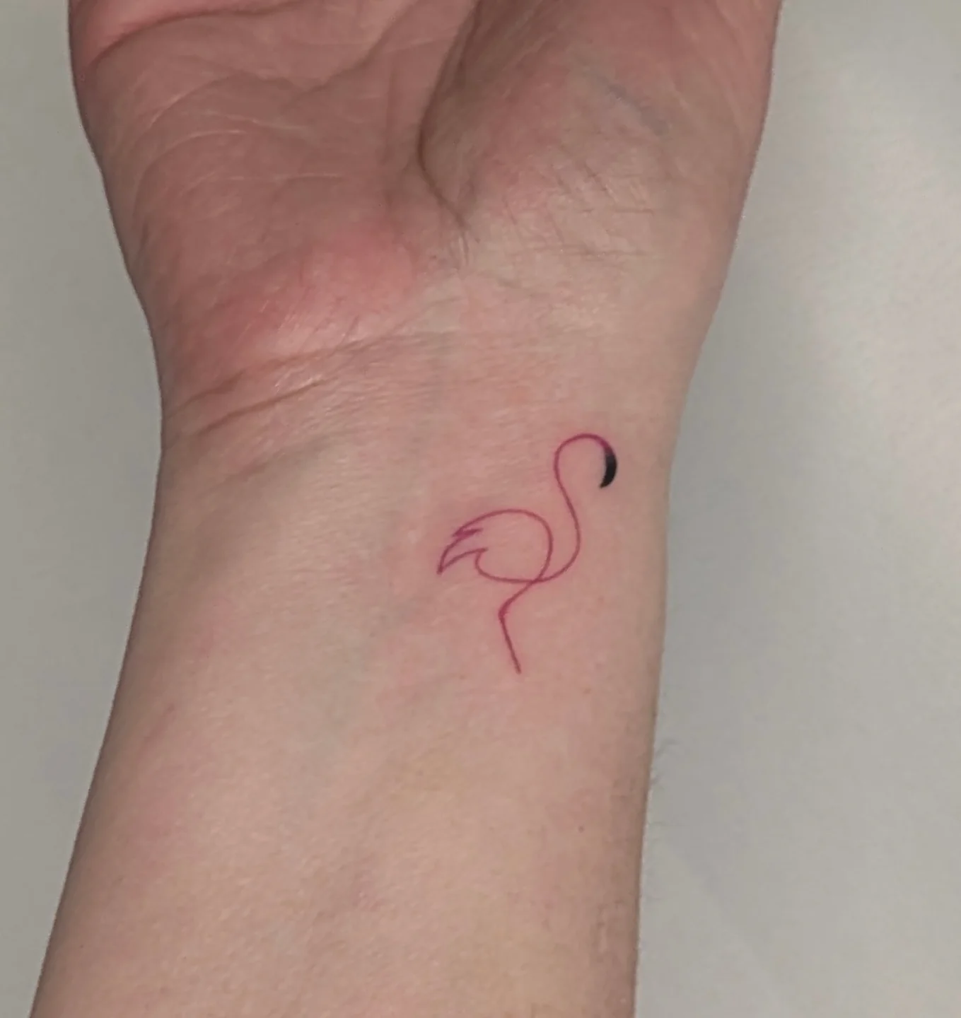 Flamingo minimalist tattoo on the forearm by Nenookaasi Martin