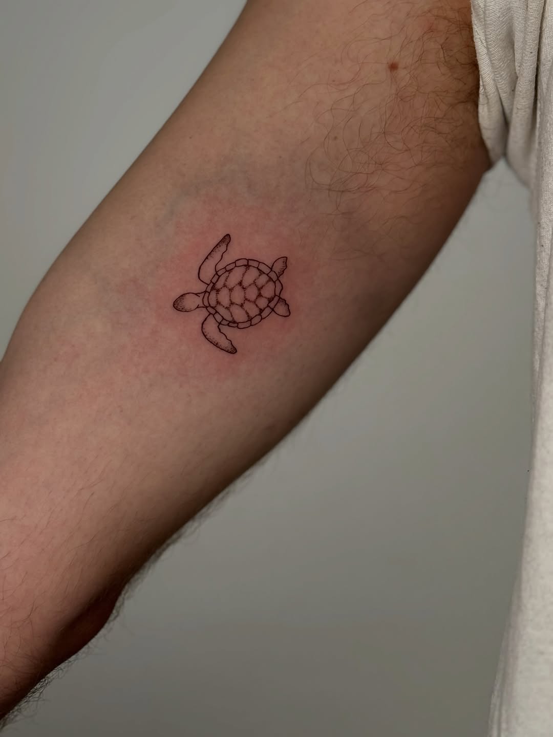 Sea turtle fine line tattoo on the forearm by Jules Ink ⋆ Fineline Tattoo