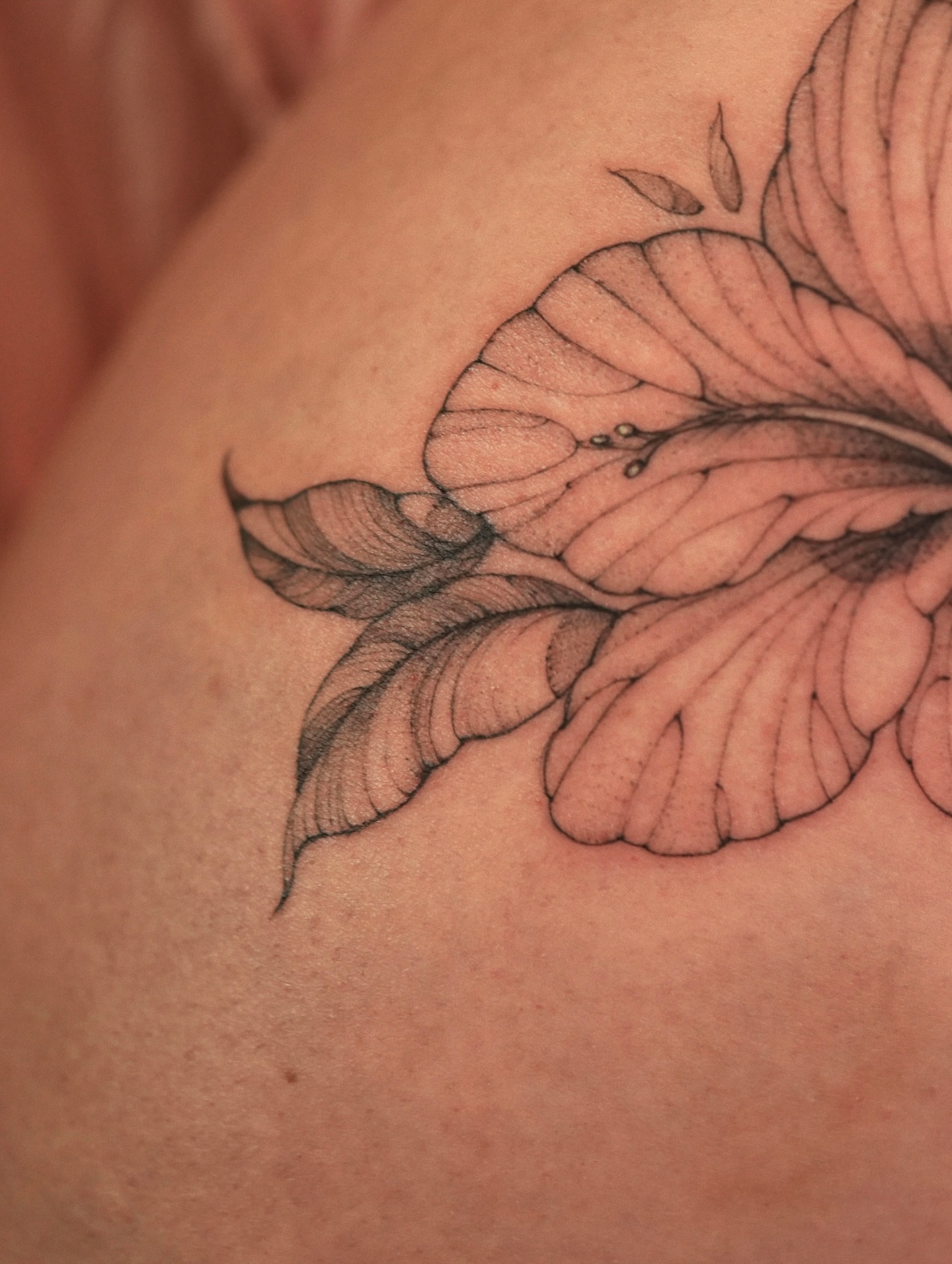 Flower black and grey tattoo on the shoulder by Zalina Loriia