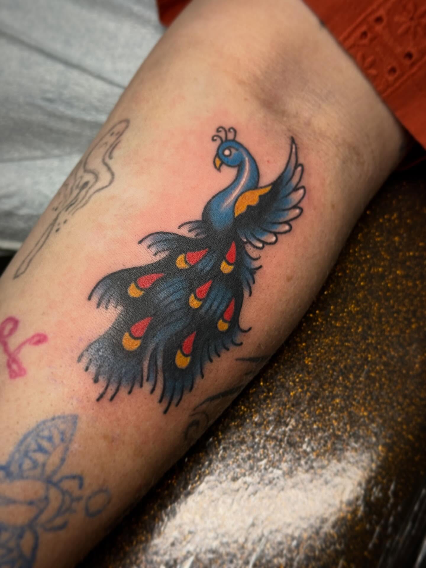 Peacock American traditional tattoo on the forearm by Austin Liebst, Wichita, Kansas