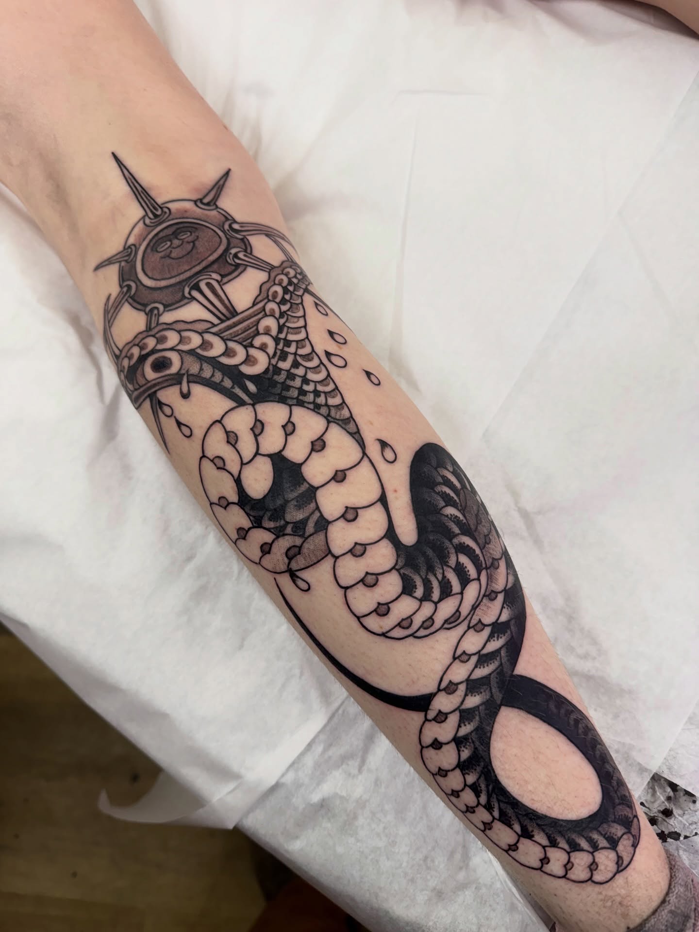 Serpent black and grey tattoo on the forearm by Chris Orta