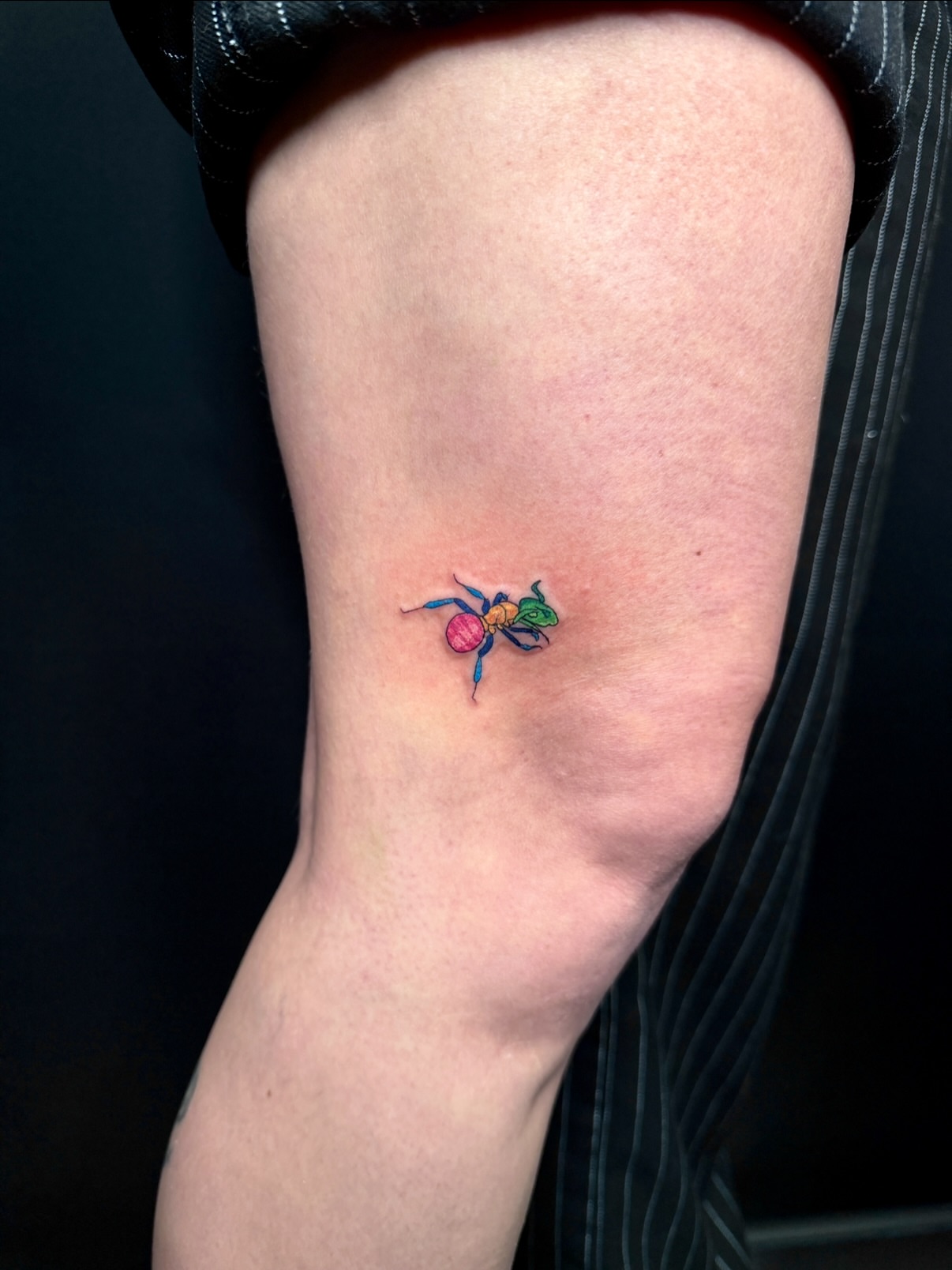 Spider dotwork tattoo on the forearm by aria, Austin, Texas