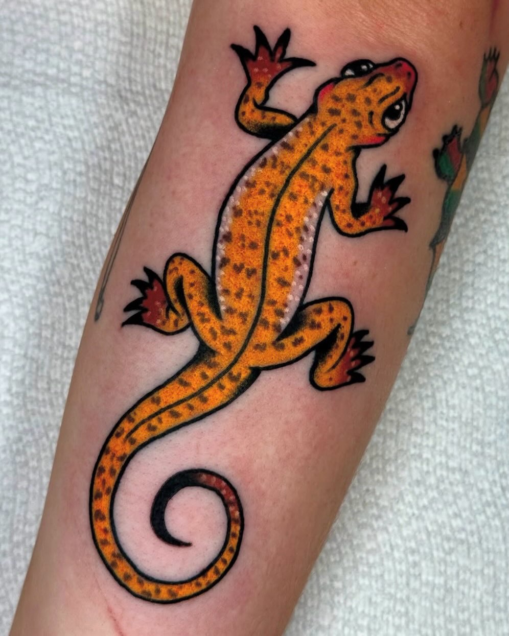 Gecko American traditional tattoo on the forearm by Joe Bear Tattooer