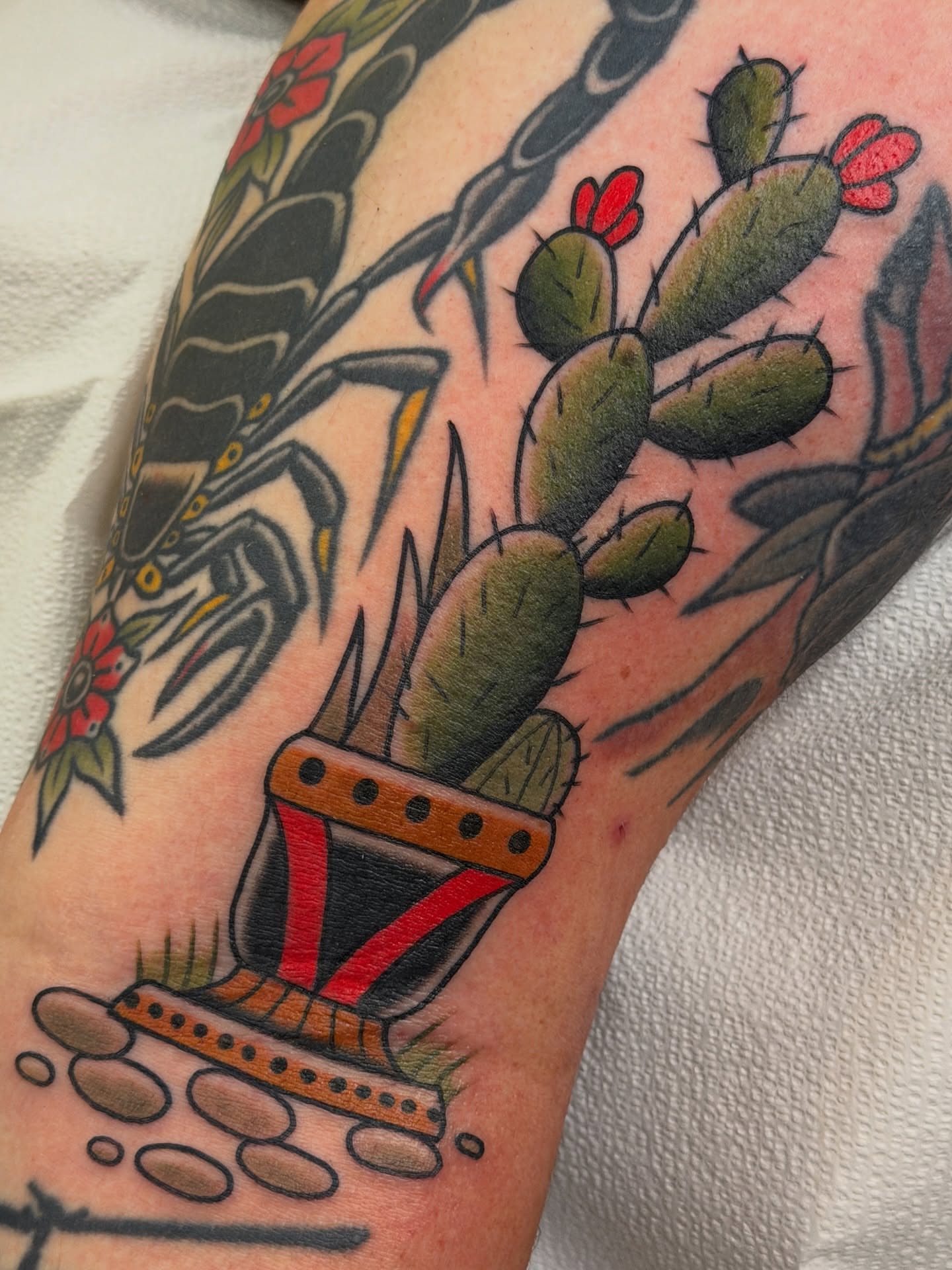 Cactus and butterfly American traditional tattoo on the forearm by Cory Craft