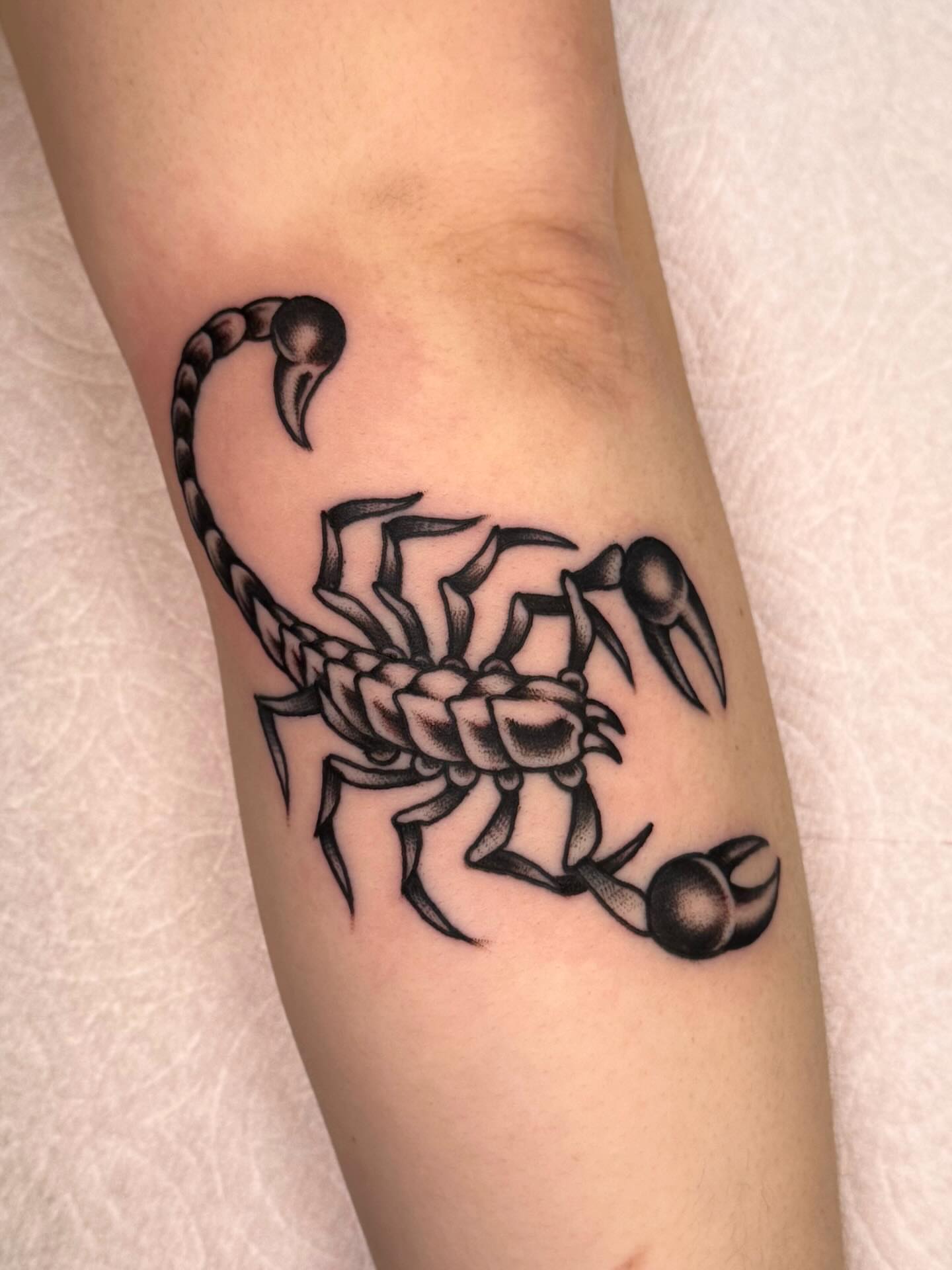 Scorpion black and grey tattoo on the forearm by Painted Peach Tattooer