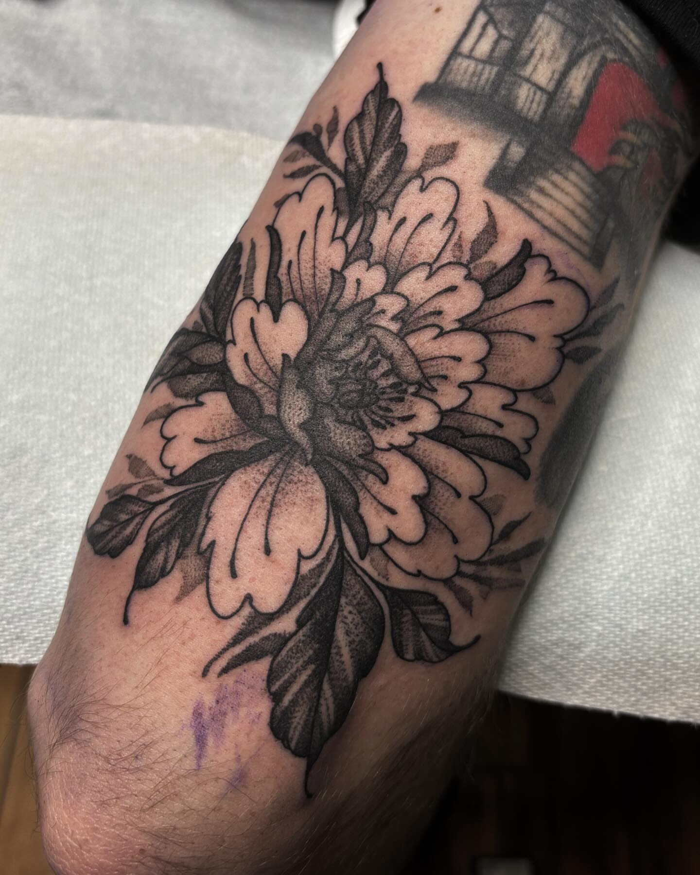 Chrysanthemum black and grey tattoo on the forearm by Monica Amneus