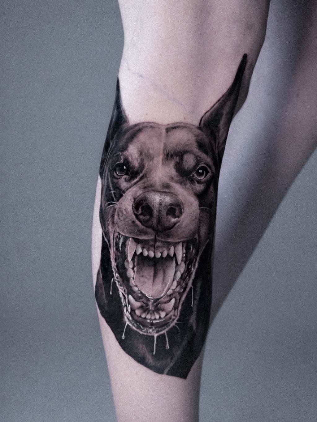 Doberman dog portrait realism tattoo on the forearm by โ๏ธ Dima Sova โ๏ธ Tattoo ๐บ๐ธ Arlington VA