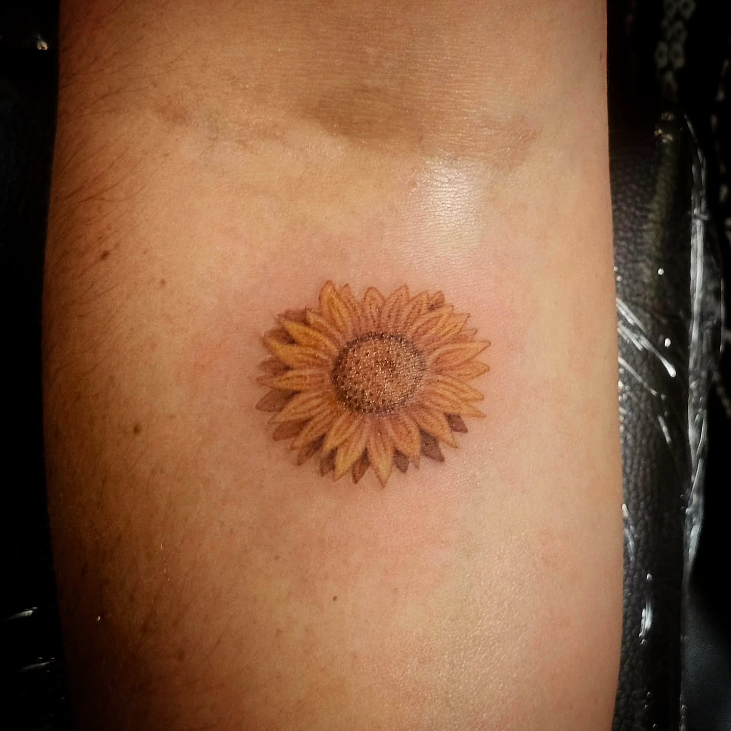 Sunflower dotwork tattoo on the forearm by Ari 💠🧜‍♂️🐟🎨🦑🐚💠