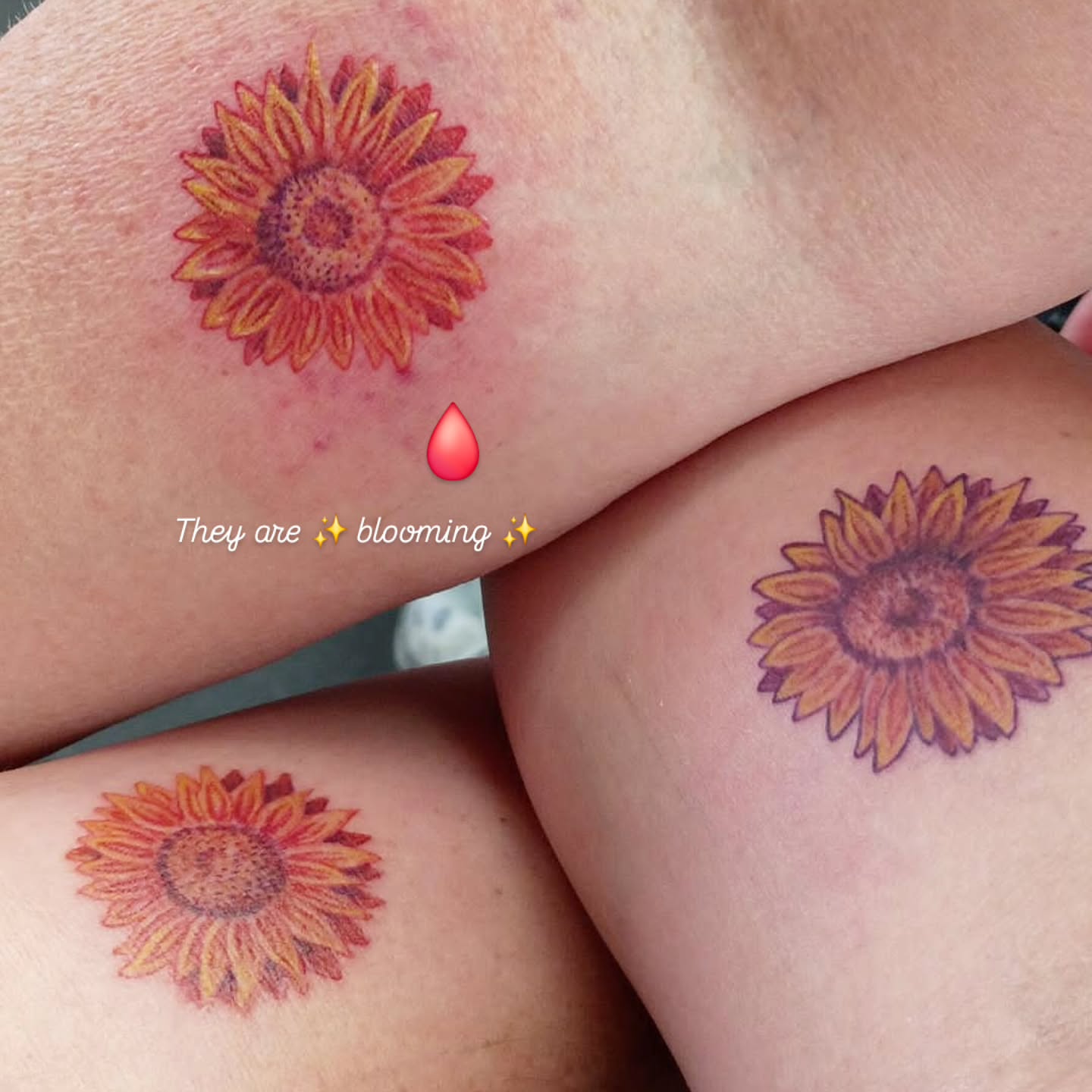 Sunflower dotwork tattoo on the forearm by Ari 💠🧜‍♂️🐟🎨🦑🐚💠
