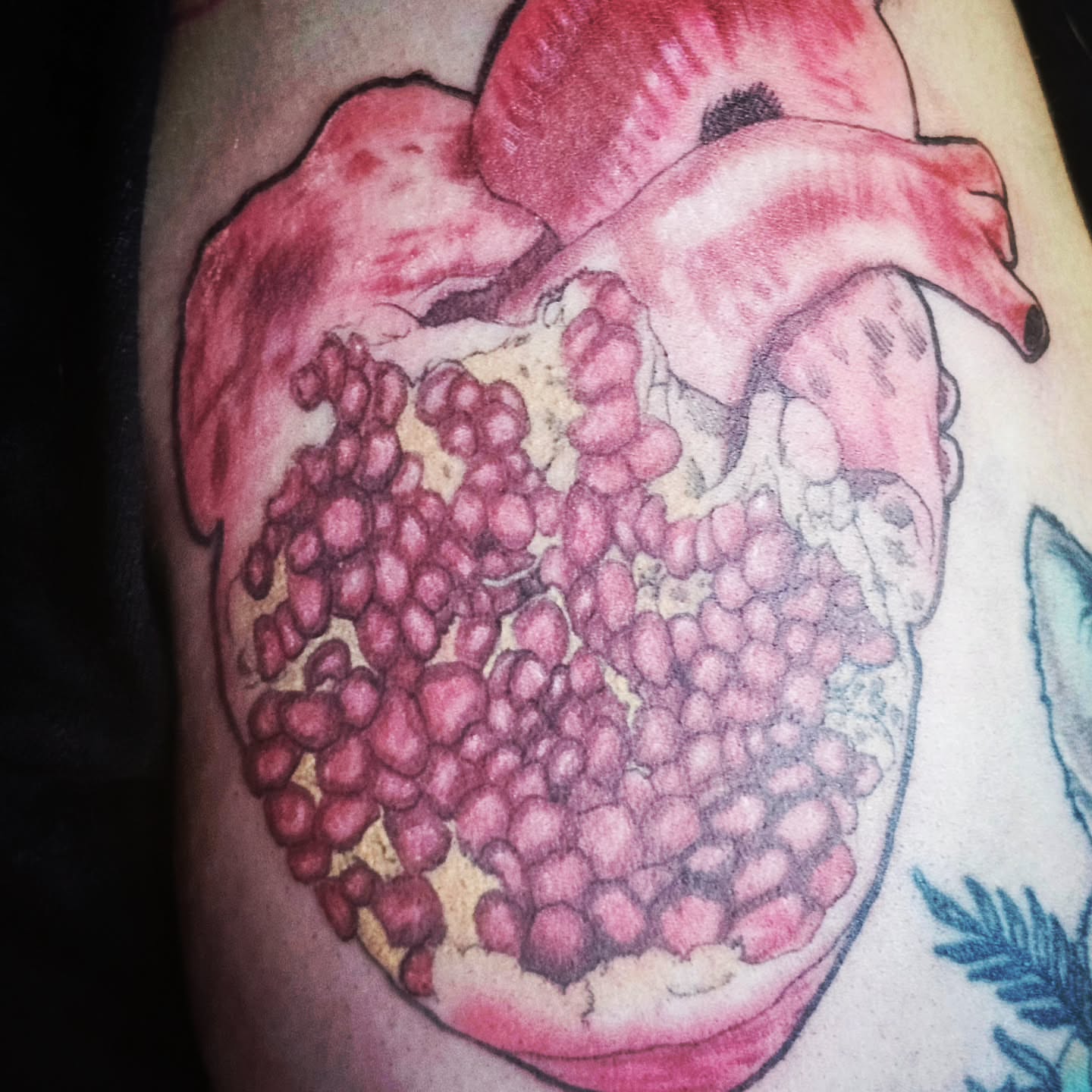 Pomegranate realism tattoo on the thigh by Ari 💠🧜‍♂️🐟🎨🦑🐚💠