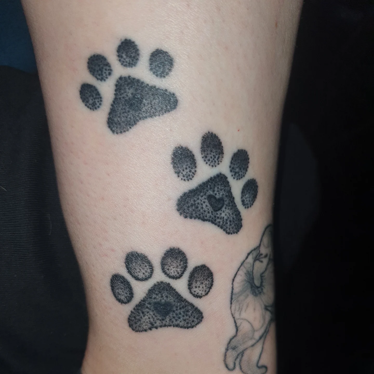 Paw prints dotwork tattoo on the forearm by Artful Ink