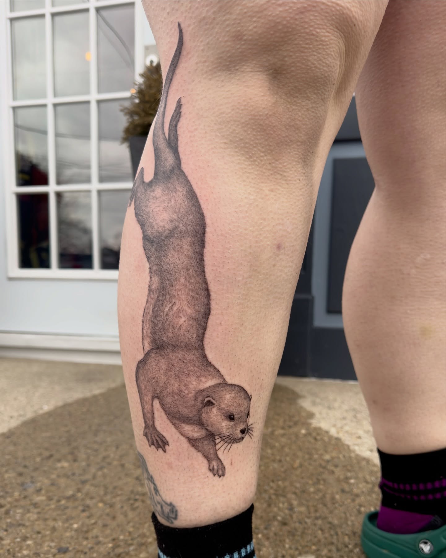 Otter realism tattoo on the leg by Kevin Rotramel, Dayton, Ohio