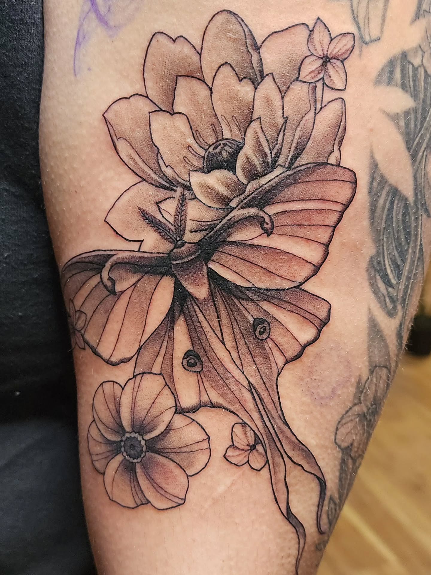 Tattoo by @workofant — black_and_grey