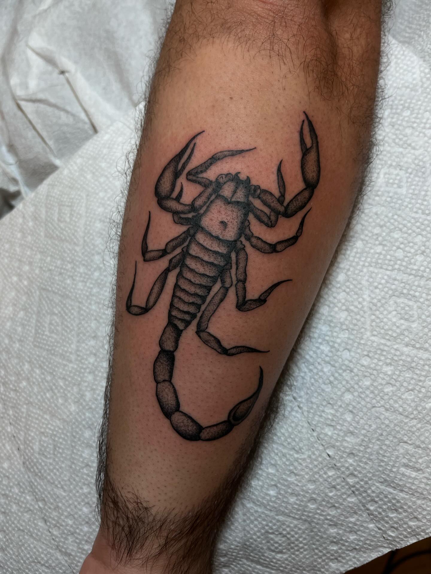 Scorpion dotwork tattoo on the forearm by Jackson Kirchhoff