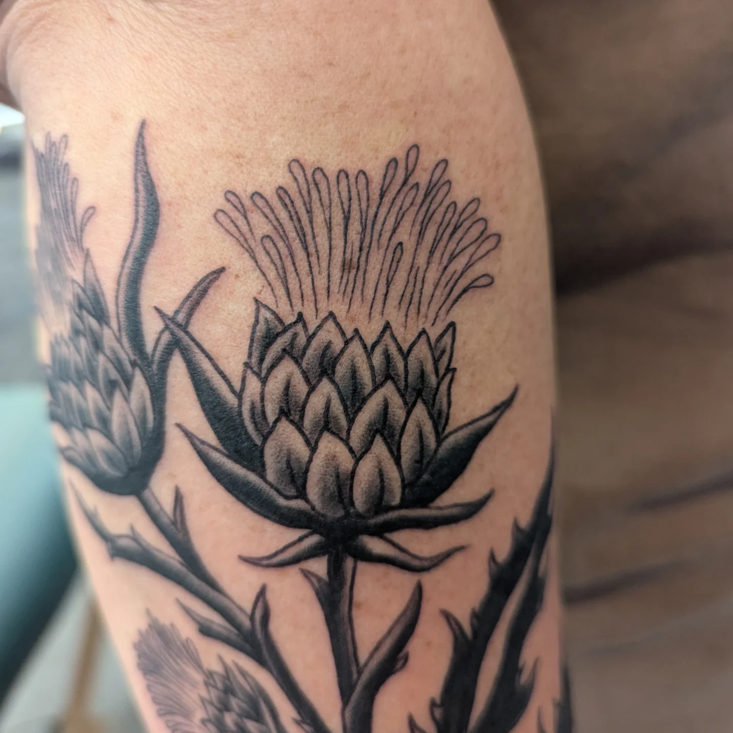 Thistle black and grey tattoo on the forearm by ♡ Cora ♡