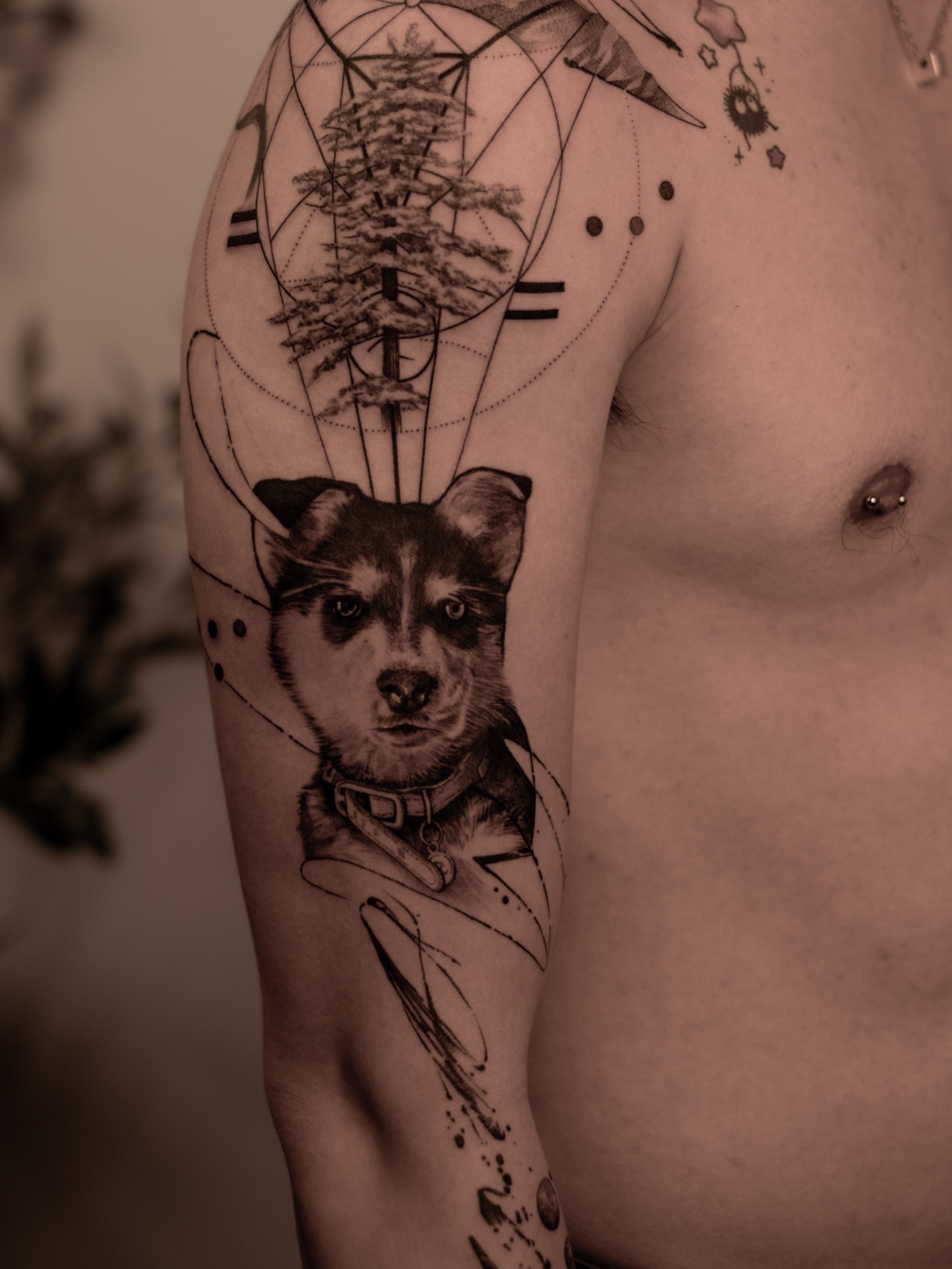 Dog portrait realism tattoo on the upper arm by Mark D, Los Angeles, California