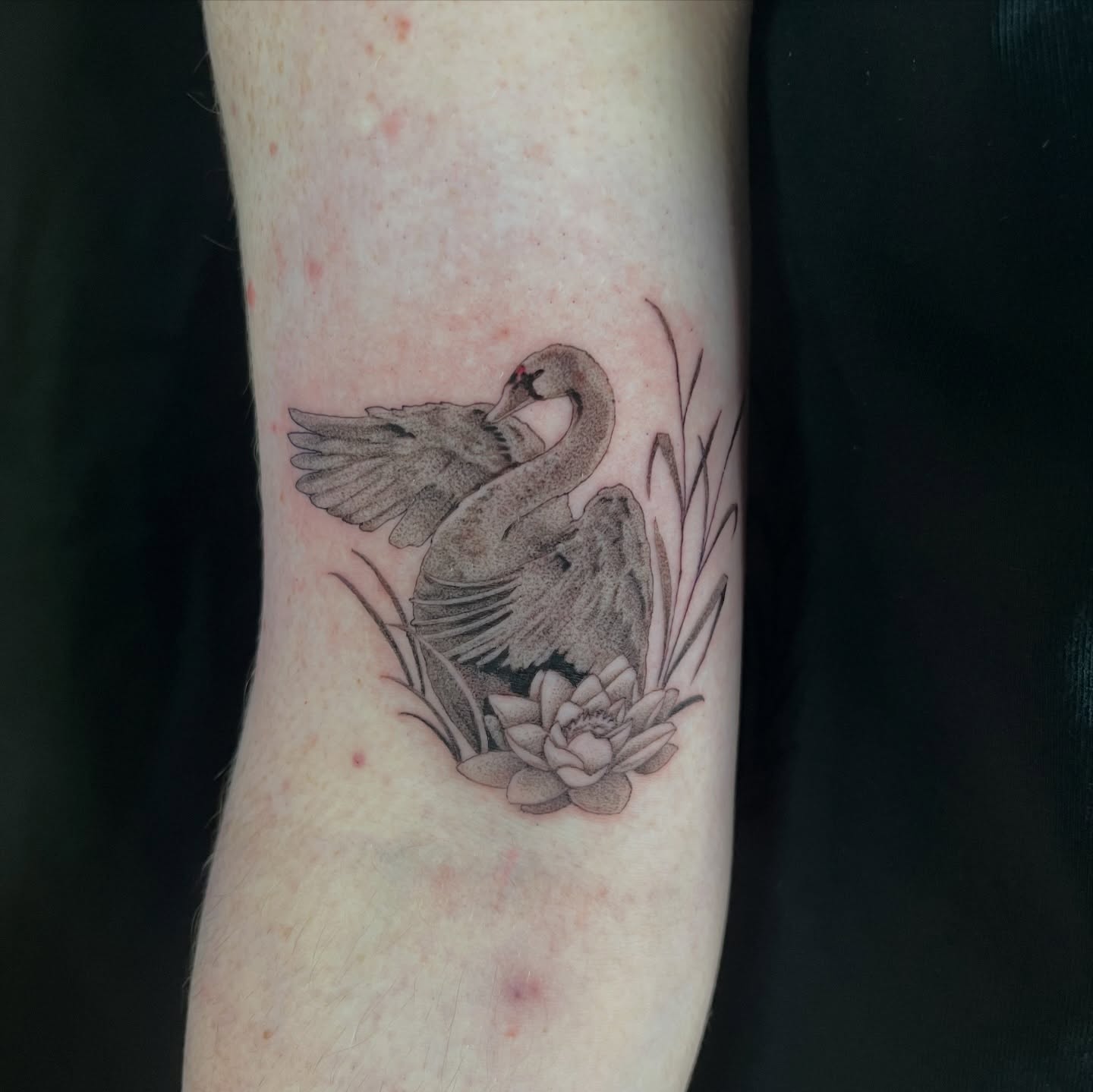 Swan and lotus black and grey tattoo on the forearm by Odi ✮⋆˙, Las Vegas, Nevada