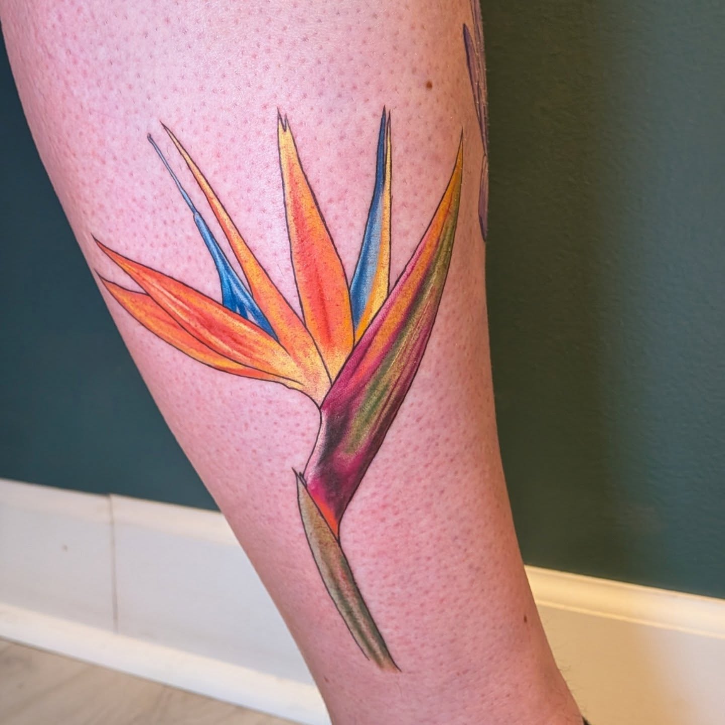 Bird of paradise realism tattoo on the forearm by L U C y, Knoxville, Tennessee