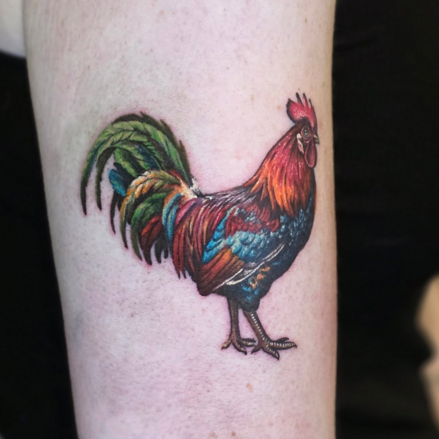 Rooster realism tattoo on the forearm by Banana Cake