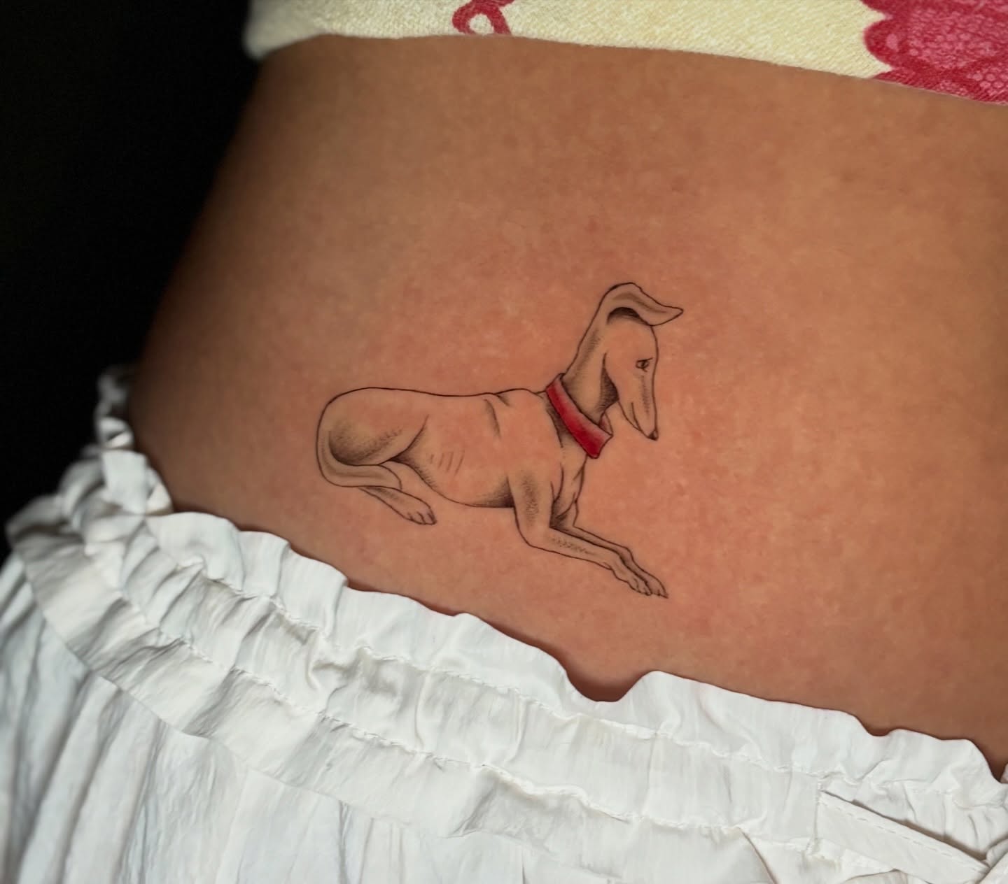 Greyhound realism tattoo on the thigh by Jojo Rose ✨ Denver Tattoo Artist